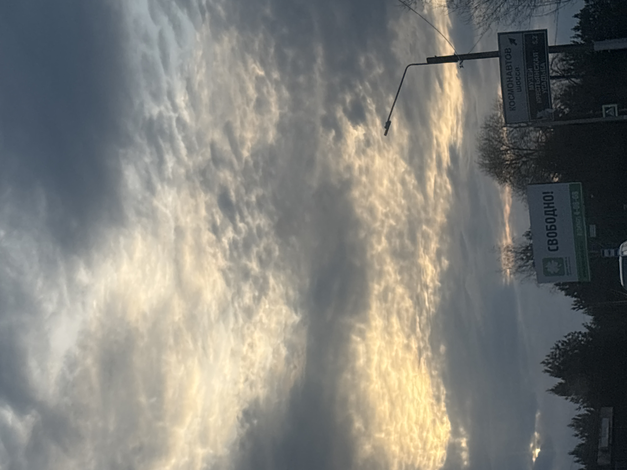 The image shows a sky filled with altocumulus clouds, some catching golden sunlight. On the right side of the image, blurred by motion or distance, are signs written in Russian and trees. A street light is also visible. One sign reads "Космонавтов Шоссе," indicating the location is likely in or near Chaikovsky, Russia, as "Шоссе Космонавтов" is a street name there. The second sign reads "Свободно!"