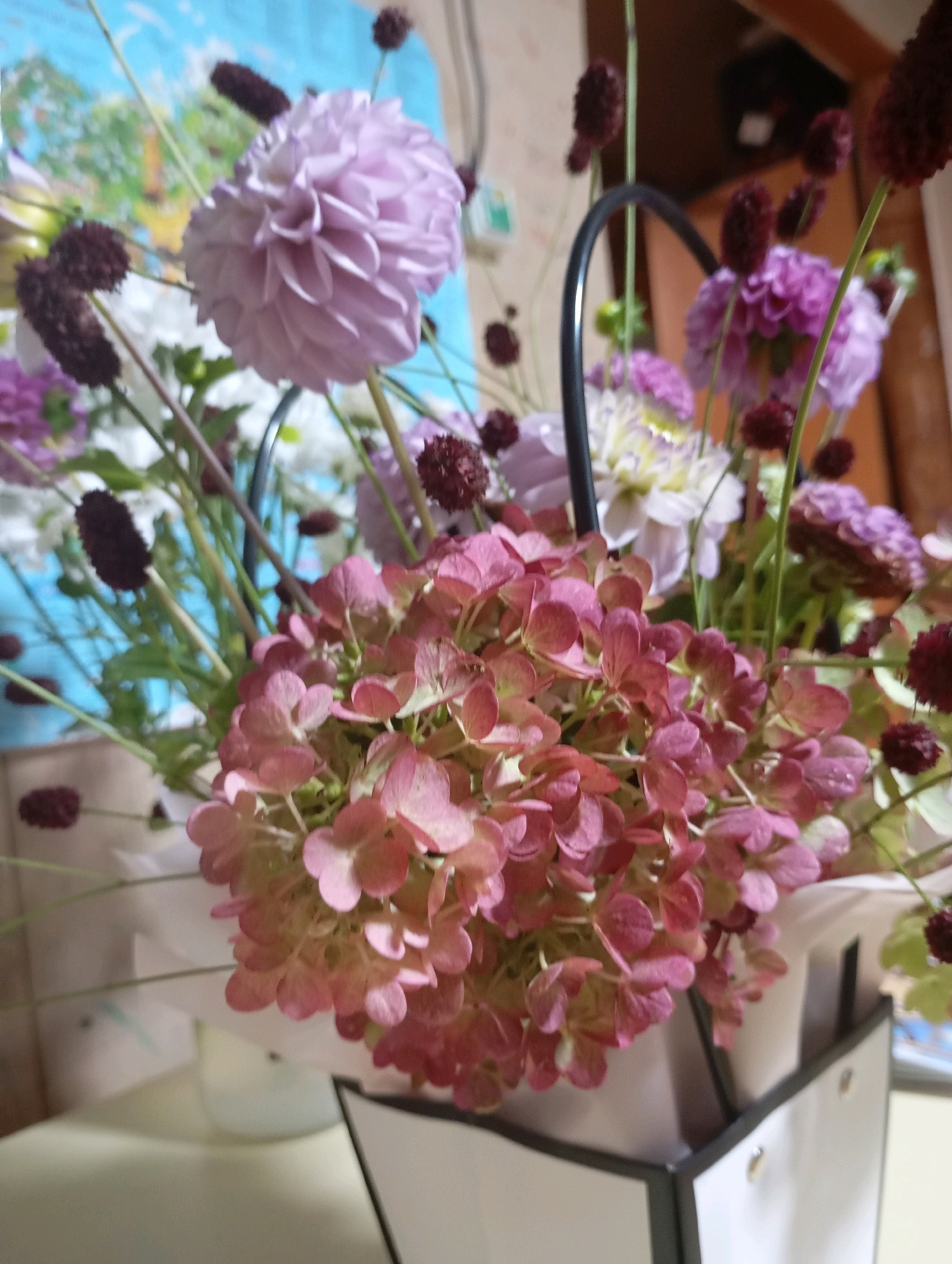 In the city of Фоки, Russia, a floral arrangement is presented in a white and black rectangular container. The arrangement features a cluster of pinkish-red hydrangeas in the foreground. Behind them, several pale lavender dahlias are visible, along with smaller, dark reddish-purple flower heads that appear to be dried or seeded. Green stems and foliage are interspersed throughout the bouquet. A dark, curved wire handle extends from the container. The background is out of focus, showing a light blue surface with some lighter colored shapes, possibly a map or poster, and a brown, wooden surface.