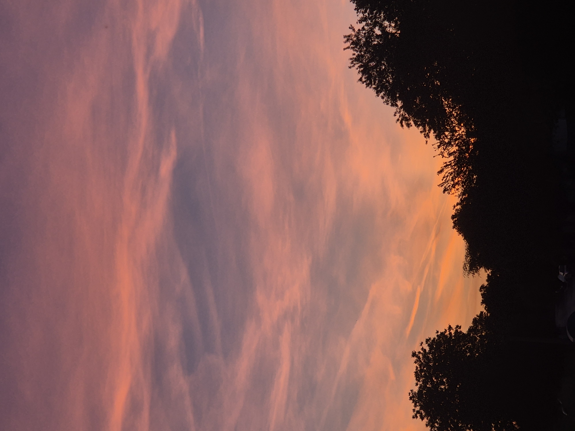 The image captures a sunset scene. The sky is a blend of colors, transitioning from violet and pink on the left to orange on the right. Wispy clouds streak across the sky. Silhouetted trees frame the right side of the image. There is no indication this image was taken in Pavlikeni, Bulgaria. There are no people visible.