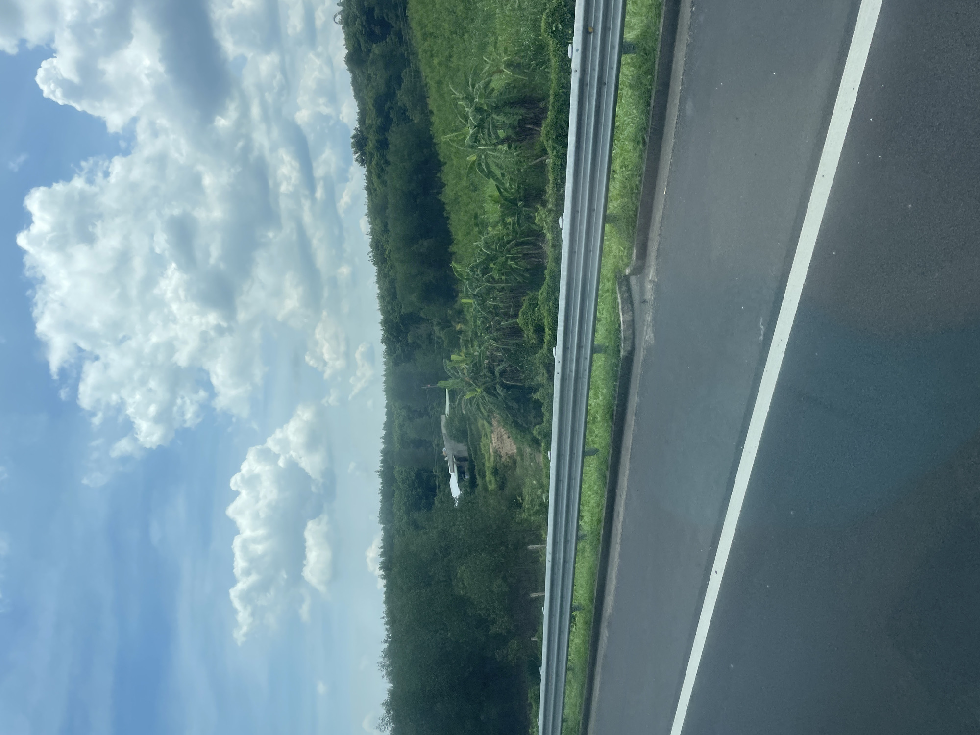 The image shows a view from a road, likely a highway, in Dong Nai City, Vietnam. The foreground features the asphalt of the road with a white lane marker. A silver metal guardrail separates the road from a grassy embankment. Beyond the embankment, a lush green landscape unfolds, characterized by dense foliage and scattered banana trees. In the middle ground, a small cluster of buildings, possibly a rural home, is nestled amongst the greenery. The background is dominated by a hill covered in a thick forest, with a partially cloudy sky overhead. The overall impression is of a scenic, rural environment.