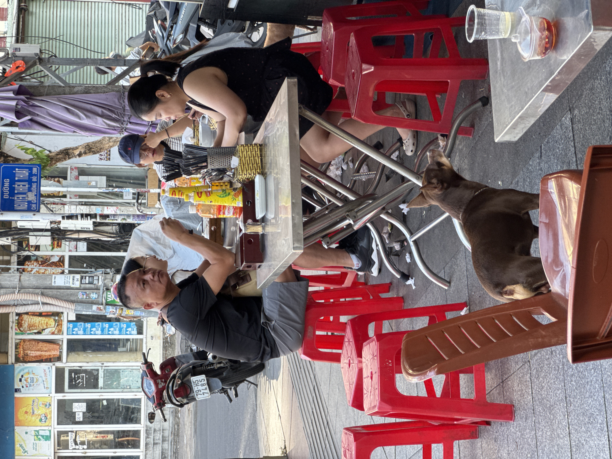 The image captures a street scene in Nha Trang, Vietnam, likely on Nguyen Thien Thuat street, given the signage. Several people are seated at a metal table on a sidewalk. A man in a black t-shirt and grey shorts is playing a guitar. A woman in a black dress is seated next to him, eating. Another person wearing a blue baseball cap and glasses is also at the table. Red plastic stools surround the table. A small brown dog stands near the table, looking up. In the background, motorbikes are parked, and shops with various advertisements are visible. The ground is paved with grey tiles, and litter is present on the sidewalk.