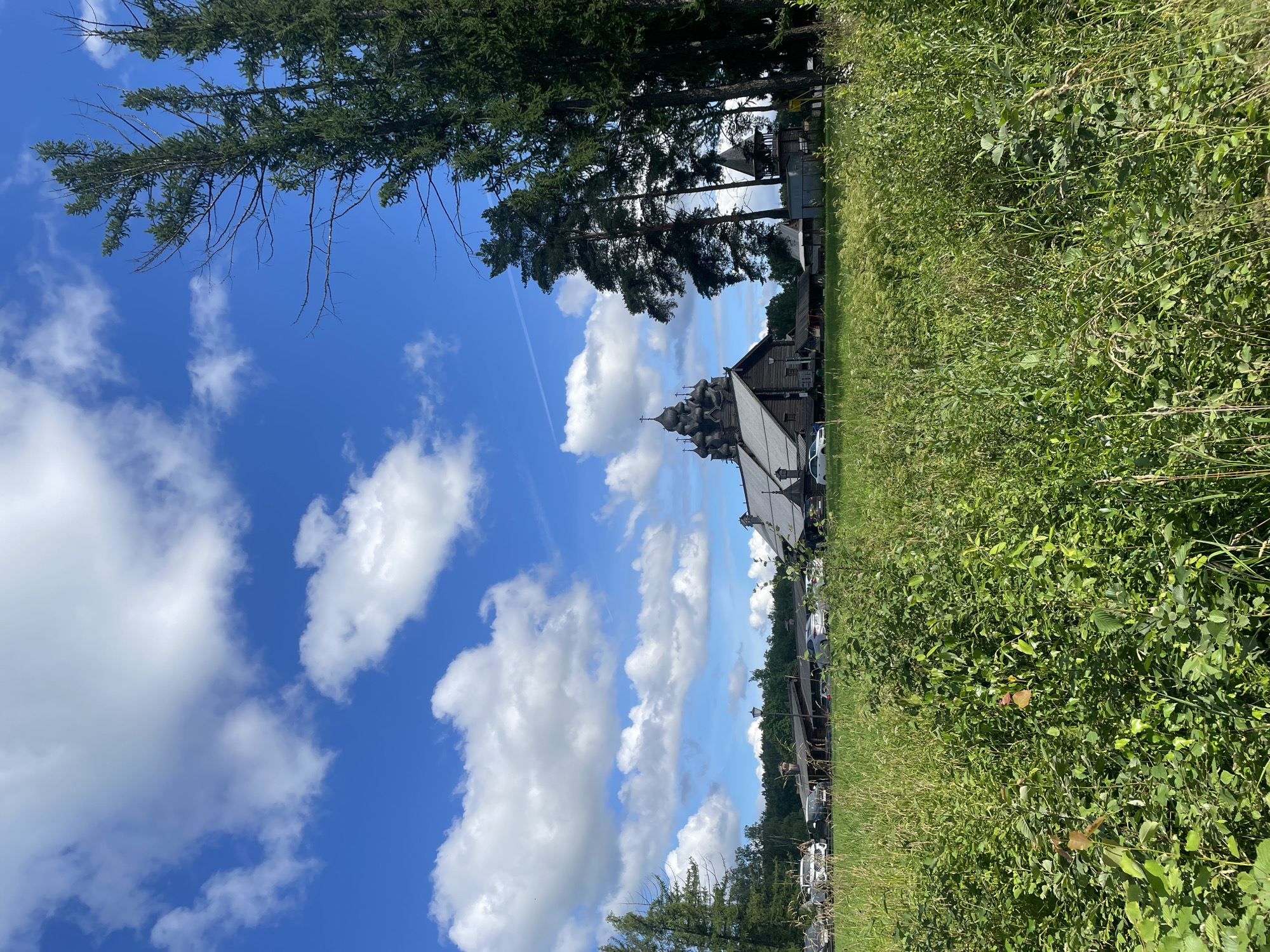 This is a vertical, full shot of a summer day in Nevskii Parkleskhoz, Russia, depicting a traditional wooden church complex against a bright blue sky with white, fluffy clouds. In the foreground, a lush, green meadow is densely populated with various types of grass and plants, some reaching waist-high. To the right, several tall, dark green pine trees stand prominently. In the middle ground, a row of wooden structures, including the main church with multiple domes and a bell tower, are visible. Cars are parked in front of these buildings, and a paved pathway runs through the scene. The overall atmosphere is serene and picturesque.