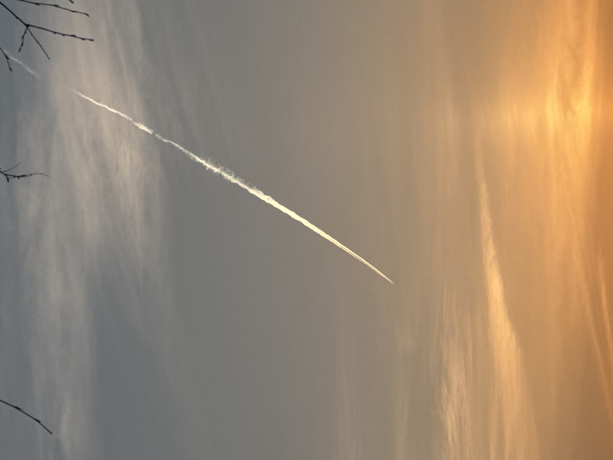 The image shows a jet contrail crossing the sky. The sky transitions from gray on the left to an orange hue on the right, likely indicating sunrise or sunset. Bare tree branches are visible in the upper left corner. The contrail is mostly straight, becoming thinner towards the right side of the frame. There is no specific indication in the image that it was taken in Chaikovsky, Russia.
