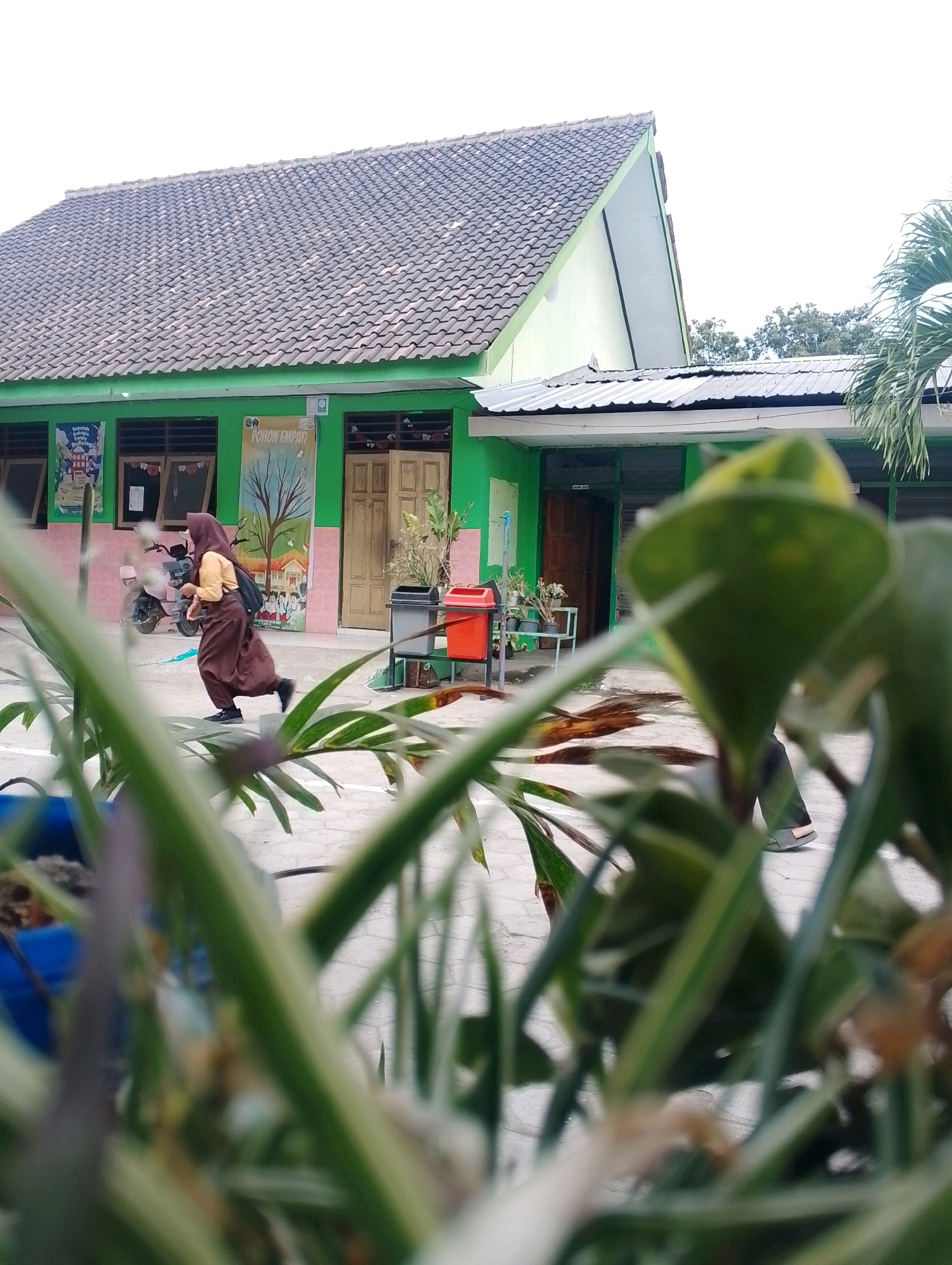 In Papungan, Indonesia, a blurred foreground of green foliage partially obscures a scene in front of a green-painted building. A young person, wearing a brown hijab and a mustard-colored shirt with a brown skirt, is captured mid-stride in front of the building. The building features a tiled roof and a covered walkway. A motorcycle is parked to the left of the building. Two trash bins, one red and one grey, are situated near the entrance. The ground is paved with light-colored tiles. The overall impression is of a school courtyard on a bright day.