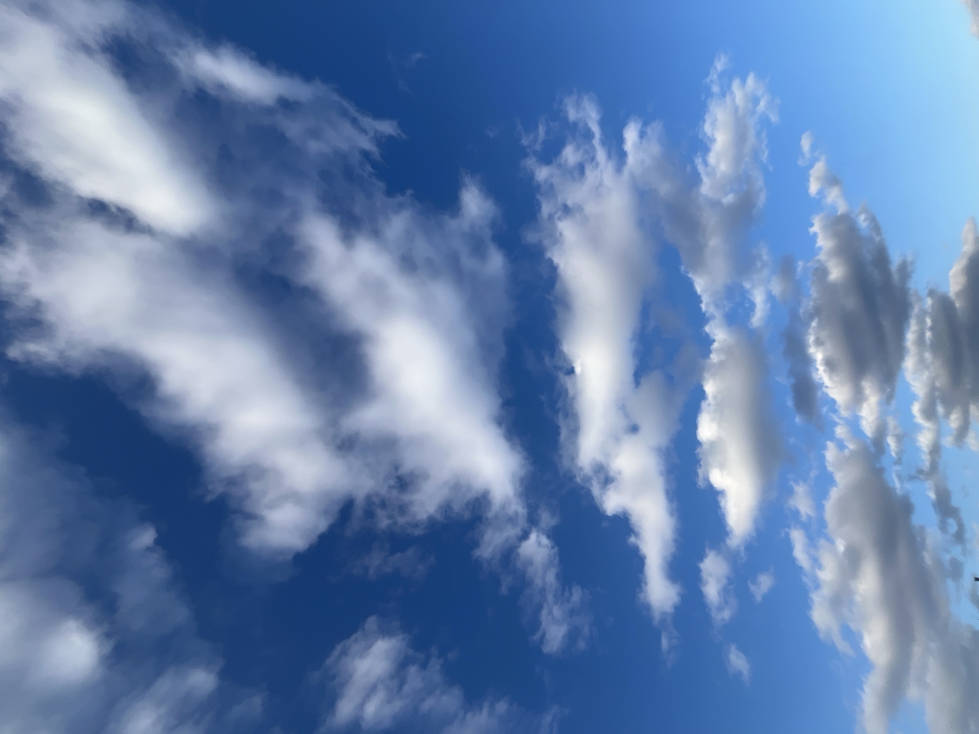 The media file displays a vibrant daytime sky filled with various cloud formations. The dominant color is a rich, deep blue, transitioning to a lighter blue towards the top right, suggesting depth and ambient lighting conditions.
On the left side of the frame, elongated, bright white clouds, likely cirrus or altocumulus, stretch across the sky. These clouds are brightly illuminated by sunlight, giving them a radiant appearance against the deep blue backdrop. They have a somewhat wispy and diffused texture.
Towards the right and bottom-right, the clouds appear denser and more textured, exhibiting shades of white, light gray, and dark gray. These clouds, possibly cumulus or stratocumulus, show significant shadowing, indicating their three-dimensional form and the direction of sunlight. Some of these clouds also appear to be arranged in somewhat linear or stacked formations.
There are no people, man-made objects, or discernible activities taking place in the image. The scene is solely focused on the natural sky and its atmospheric elements. The bright illumination and clear blue areas suggest it is daytime, likely mid-day or afternoon. The overall weather appears clear with scattered cloud cover. No text is visible. While the image is provided with a context of Krasnoyarsk, Russia, there are no specific visual cues within the image itself to confirm this geographical location.