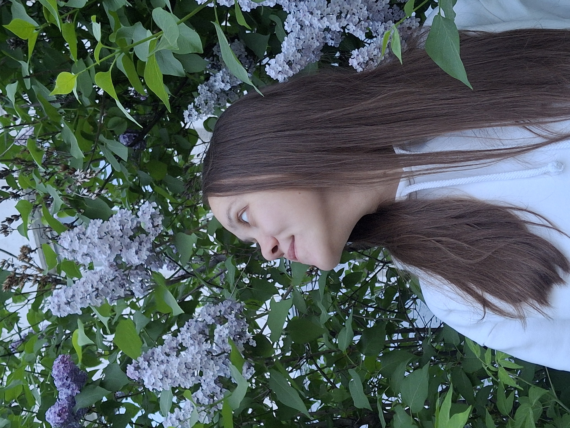 The image shows a woman with long brown hair wearing a white hoodie, positioned near a lilac bush. The lilac bush features green leaves and clusters of pale purple flowers. The woman's face is visible in profile, looking towards the left of the frame. The background is blurred. The location is unknown.