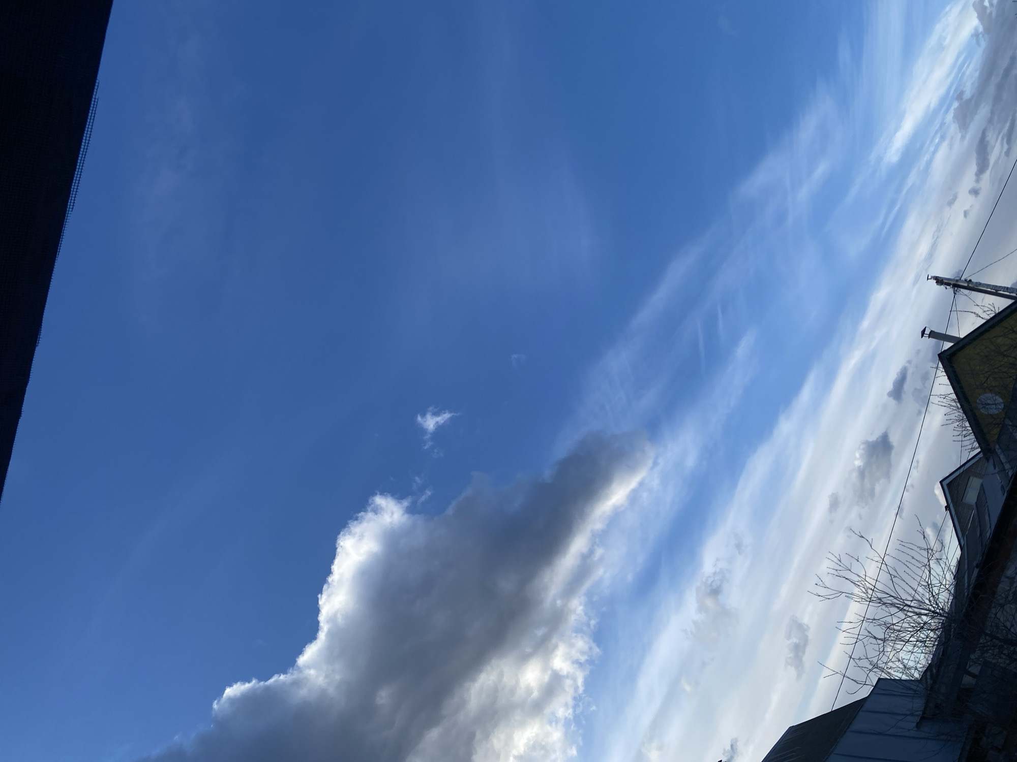 The image captures a vast blue sky filled with a variety of clouds, seen from a slightly tilted perspective, typical of a view looking upwards from a car window or a slightly elevated position. On the far left, a dark, out-of-focus object, possibly a car's A-pillar or window frame, with a visible mesh texture along its inner edge, borders the frame.
The sky transitions from a deep, clear blue on the upper left to a lighter blue with widespread, wispy white clouds (likely cirrus or cirrostratus) that stretch diagonally across the upper right portion of the frame. Towards the lower middle and extending rightward, a prominent, dense, and darker cloud formation dominates, showing significant shadow and depth, suggesting a heavier cloud type like cumulus congestus or nimbostratus. Smaller, scattered white clouds are also visible among the wisps further to the right.
On the far right side, parts of urban or suburban structures are visible. These include the roofs and upper sections of at least two buildings, one with a yellowish facade and another darker one. Bare tree branches, indicative of late winter or early spring in Izhevsk, Russia, are silhouetted against the lighter sky, extending from the bottom right. A utility pole or antenna-like structure with wires is also discernible among the buildings and branches.
The overall impression is of a dynamic sky on a bright day, with varying cloud cover, suggesting either changing weather conditions or a specific time of day where light interacts uniquely with the clouds. No people or visible text are present in the image.