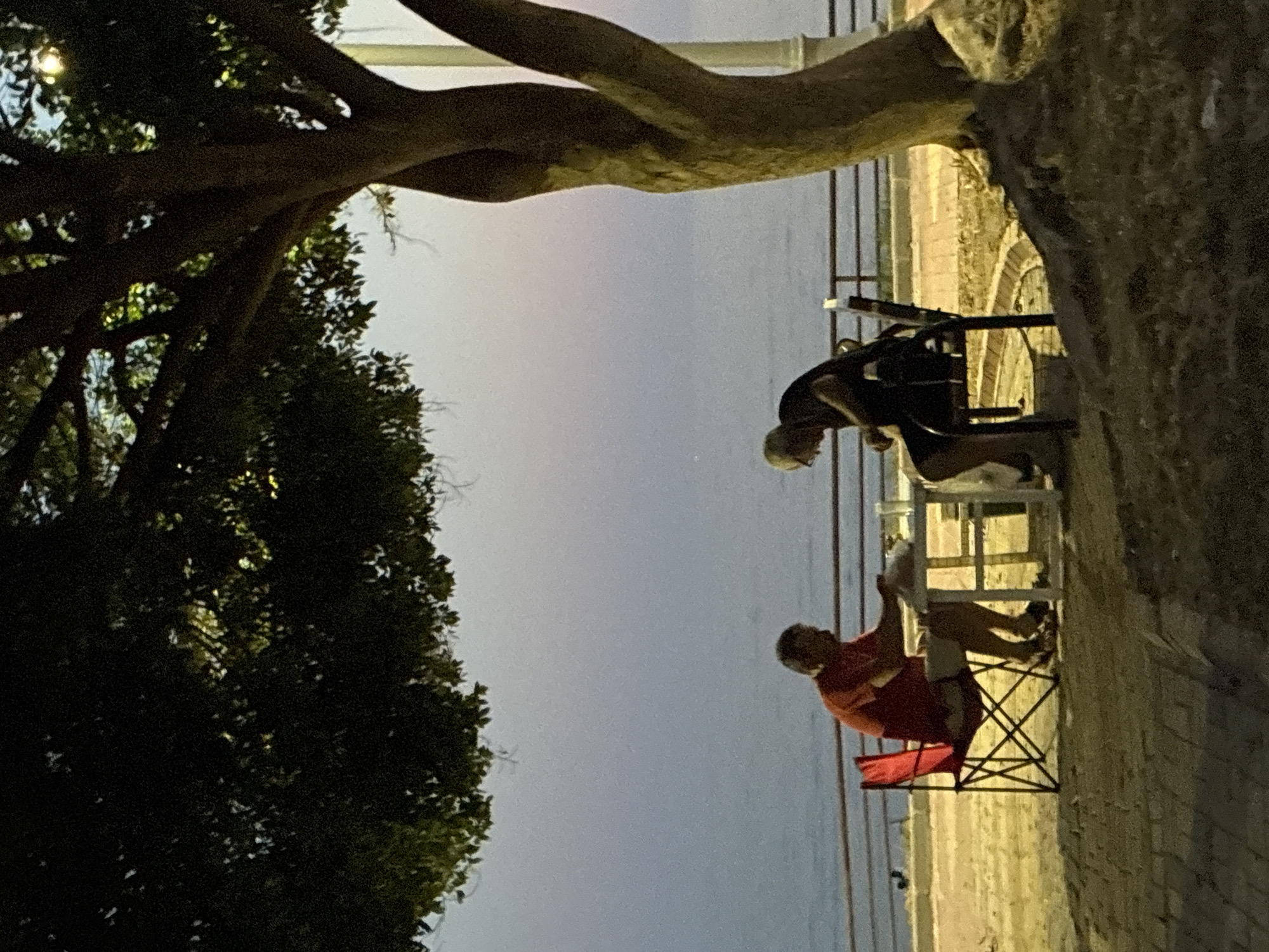 Two individuals are seated at a small table by the sea in Alanya, Turkey. The person on the left, wearing a red shirt and shorts, sits in a folding chair and appears to be handling items on the table. The person on the right, dressed in a black t-shirt and shorts, is also seated at the table, looking down. A tree with thick branches partially covers the upper portion of the scene. The background shows the calm sea meeting a pale, dusky sky. A railing runs along the edge of the promenade behind the table. The ground in the foreground is paved with cobblestones, and grass is visible in the lower right corner. The lighting suggests it is twilight or early evening.