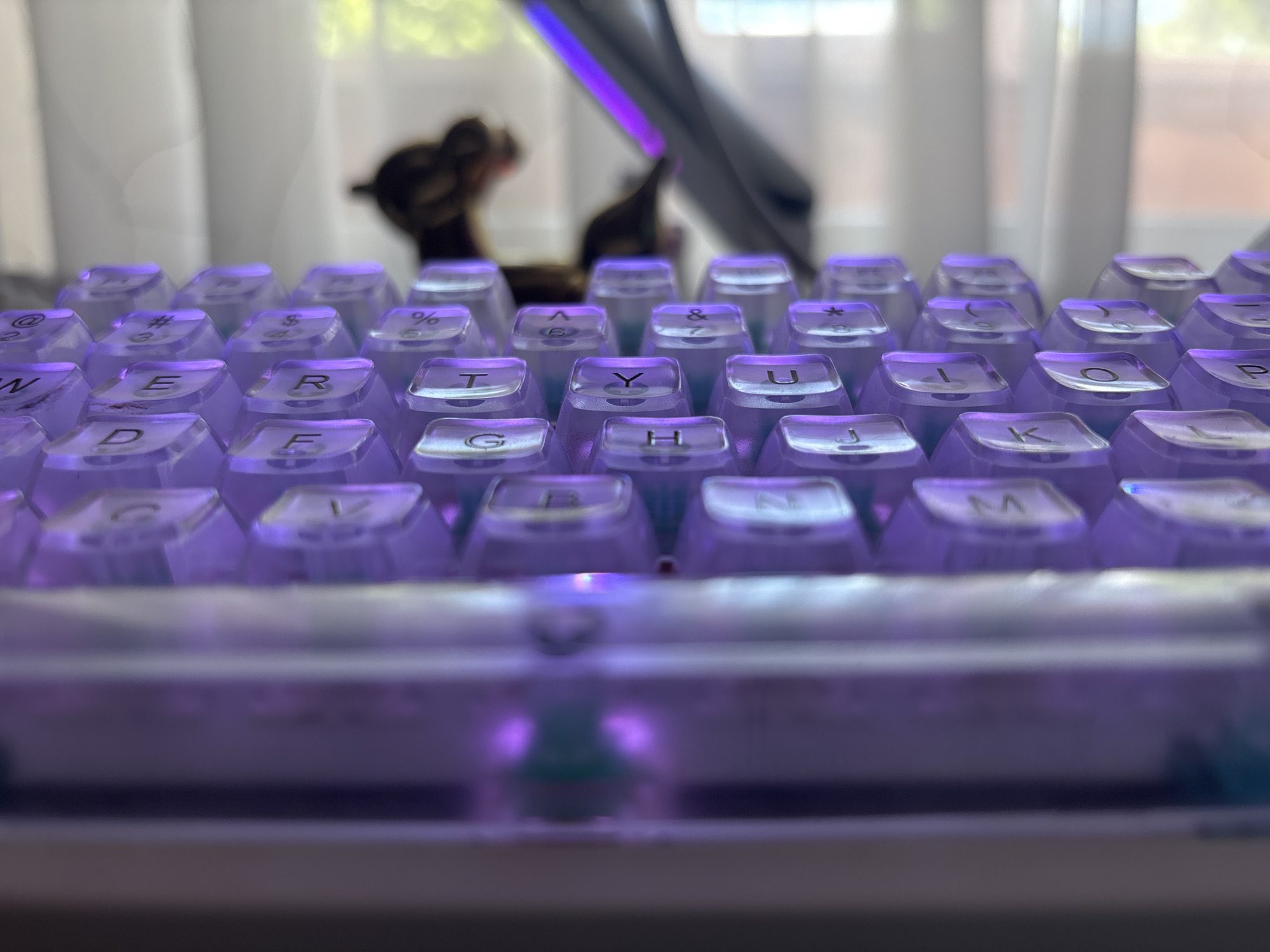This is a close-up, low-angle photograph of a mechanical keyboard with translucent, purple-backlit keycaps. The keyboard is the primary subject, with a shallow depth of field blurring the background. The keycaps are illuminated from beneath, creating a vibrant purple glow that reflects off the keys and the surrounding surface.
In the blurred background, a window with white curtains is visible. Through the curtains, some greenery and diffused sunlight suggest an outdoor scene. A dark, blurry object, possibly a decorative item or a small figurine, is also present in the background, adding a touch of detail without distracting from the keyboard.
The photograph appears to be taken indoors, likely in a room with natural light. The time of day is suggested by the diffused sunlight coming through the window. The overall mood is calm and focused, emphasizing the aesthetic of the illuminated keyboard. The visible text on the keycaps includes various letters of the alphabet, numbers, and symbols, such as "@", "#", "$", "%", "^", "&", and "*".