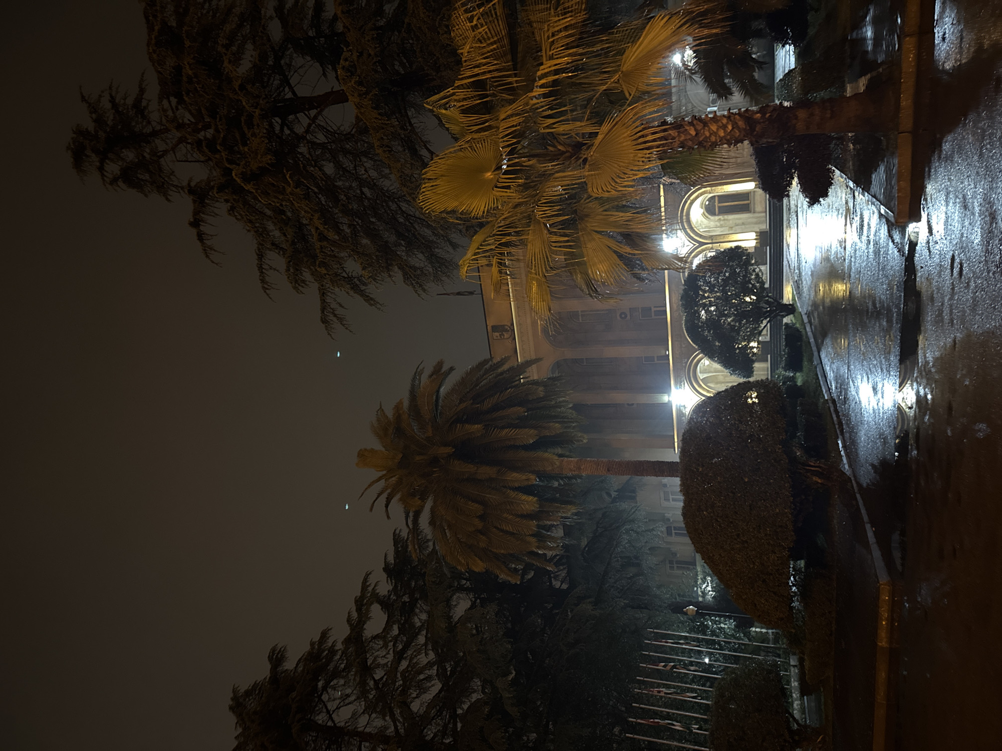 Captured at night in Sokhumi, Abkhazia, the image features illuminated architecture through a veil of moisture. Rain has glazed the foreground, reflecting the building’s light. Two palm trees stand as prominent foreground elements, their fronds partially obscuring the structure. A tall, dark tree is also visible. The wet ground suggests a recent downpour.