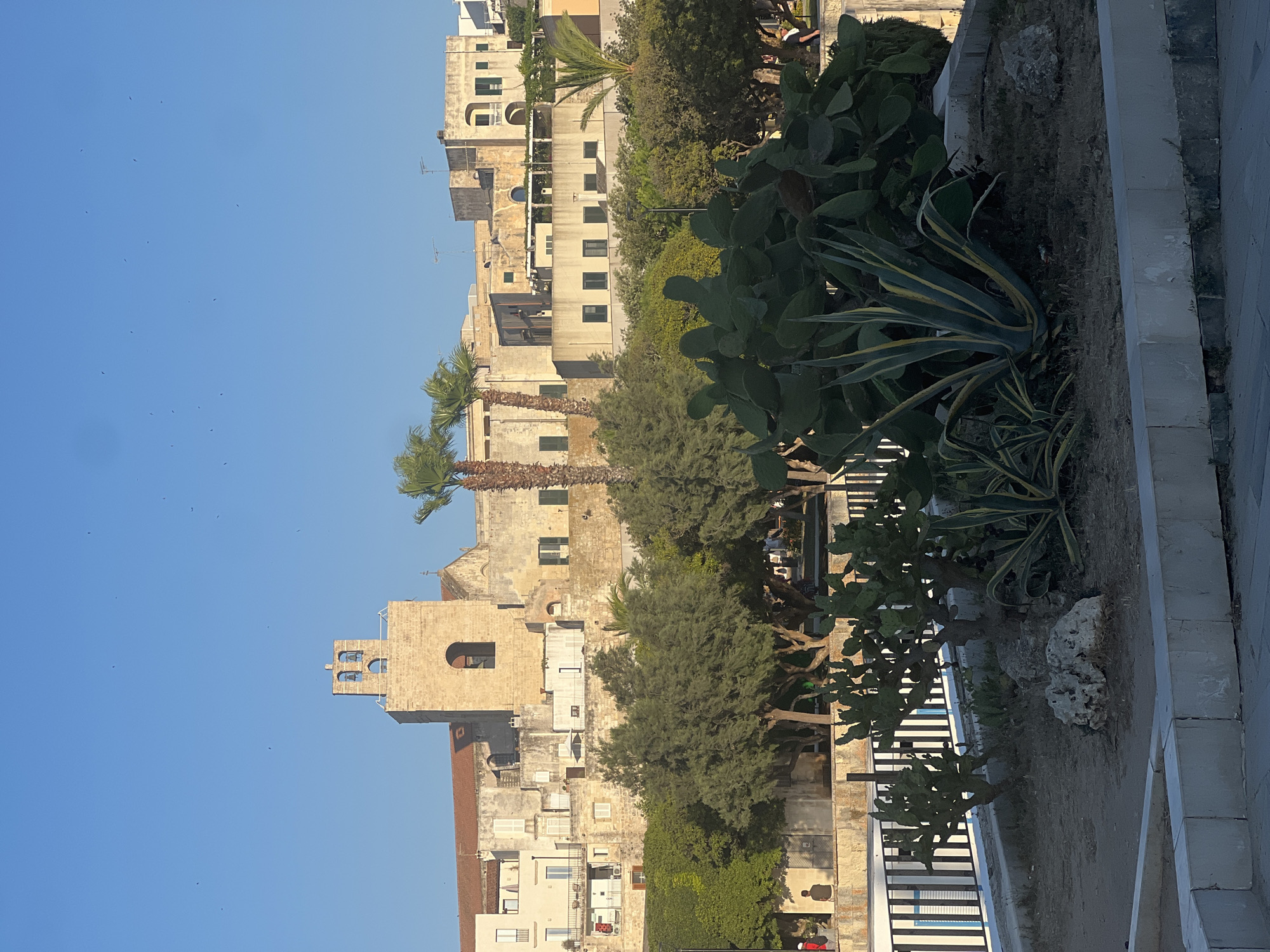 The image depicts a sunlit view of Otranto, Italy, featuring a distinctive bell tower of a church dominating the skyline, set against a clear blue sky. In the foreground, a variety of succulent plants, including prickly pear cacti and agave, are arranged in a manicured garden area. Behind the succulents, a black and white striped fence separates the garden from a pathway or walkway. Further back, lush green trees and palm trees provide a verdant backdrop. Beyond the greenery, a cluster of buildings showcases typical Mediterranean architecture with light-colored facades and terracotta roofs. People are visible in the background, casually walking or standing, suggesting a public space or promenade. The overall scene conveys a peaceful, sunny atmosphere in a coastal Italian town.