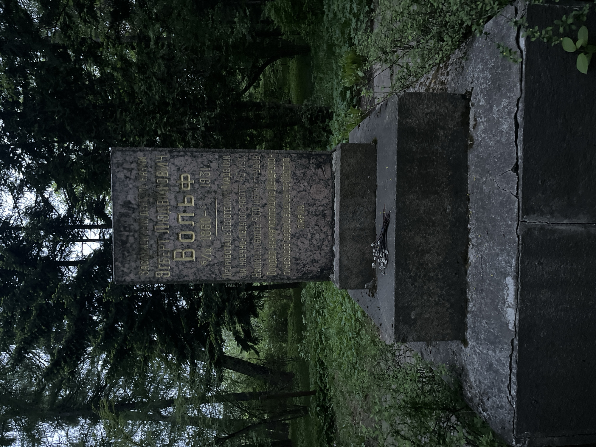 The image shows a tombstone in what appears to be a park or cemetery. The tombstone is made of dark stone and has three tiers, with a flat, vertical stone on top bearing inscriptions in Russian. The inscription reads: "Заслуженным Деятель Навки Эгберт Людвигович Вольф 5/IX 1860-1931," and continues with details about his work at the Forestry Academy and his scientific and pedagogical work. The tombstone has a few withered flowers placed on one of the tiers. The background features dense greenery, including trees and bushes, suggesting a park or wooded area. The lighting indicates an overcast day. The tombstone is likely located in Saint Petersburg, Russia.