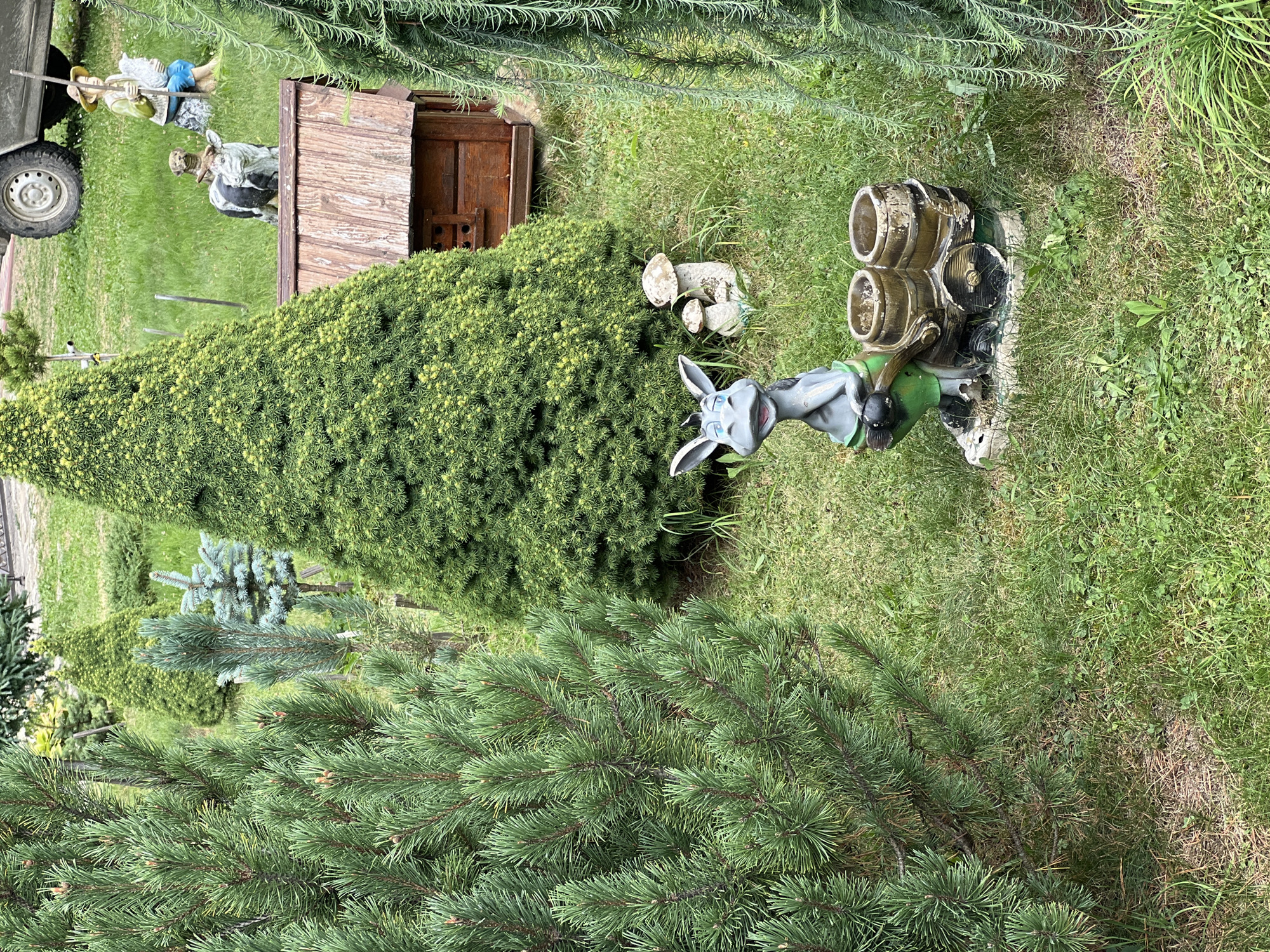 The image depicts a garden scene in the city of Yaremche, Ukraine, featuring various decorative elements and greenery. Prominently in the foreground, a grey donkey figurine is positioned, with a comical expression and wearing a green outfit. It is pulling a cart with two wooden barrels. To the right of the donkey, two stylized mushroom sculptures are visible. Behind these, a small wooden structure, resembling a birdhouse or miniature house, is situated. Further in the background, a large, cone-shaped evergreen tree dominates the center of the frame, with other coniferous trees, including pine and blue spruce, surrounding it. In the upper right corner, a figurine of a person holding a white bird, accompanied by a cow and a dog figurine, is partially visible, along with a portion of a vehicle's tire. The ground is covered in lush green grass, with some scattered pine needles and dry leaves.