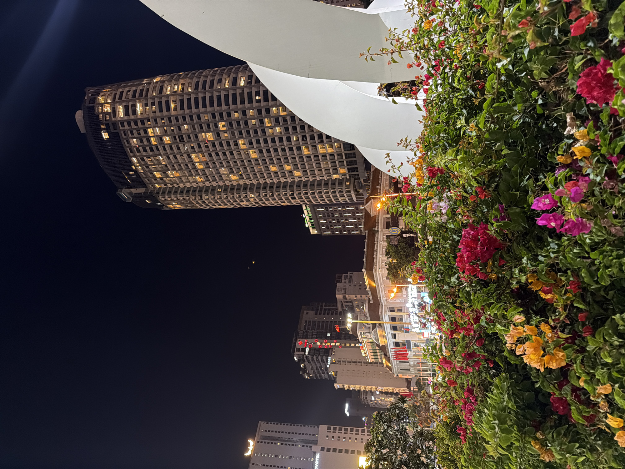 The image depicts a night scene in Nha Trang Ward, Vietnam, showcasing an illuminated cityscape framed by vibrant bougainvillea. A tall, cylindrical hotel with a distinctive honeycomb-like facade stands prominently on the left, its windows aglow with warm light. Adjacent to the hotel, a modern architectural structure with white, sail-like elements is visible.
To the right of the hotel and architectural structure, a dense cluster of bougainvillea flowers in shades of red, pink, and yellow cascades downwards, partially obscuring the view of the street below. Other buildings and illuminated signs are seen in the distance, contributing to the urban landscape. The overall scene is captured in a nighttime setting with a clear, dark sky.