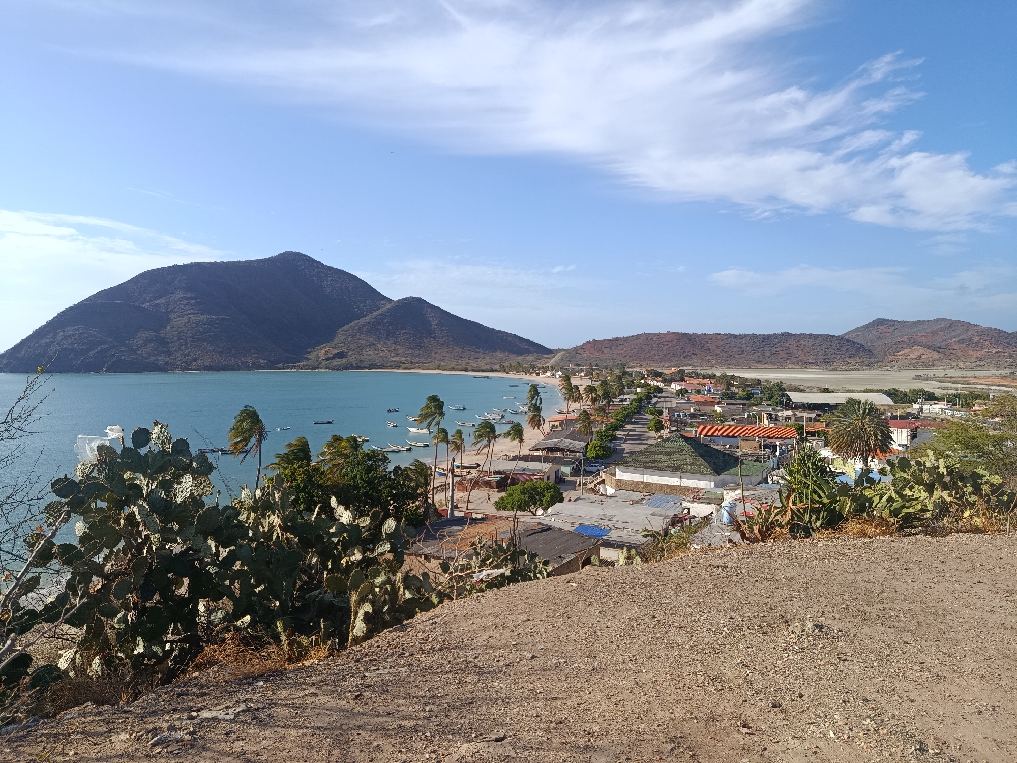 The image captures an elevated view of Juan Griego, Venezuela, showcasing the town's coastal layout. In the foreground, a rocky, arid slope with scattered cacti leads down to the town. The coastline is lined with a beach, interspersed with palm trees swaying in the wind. Small boats dot the turquoise bay. Buildings of various sizes and colors make up the town. Behind the town, a salt flat extends toward a series of brown, arid mountains. The sky is partly cloudy. There are no people distinctly visible, but there are indications of activity within the town, like cars and a couple individuals walking on the beach.