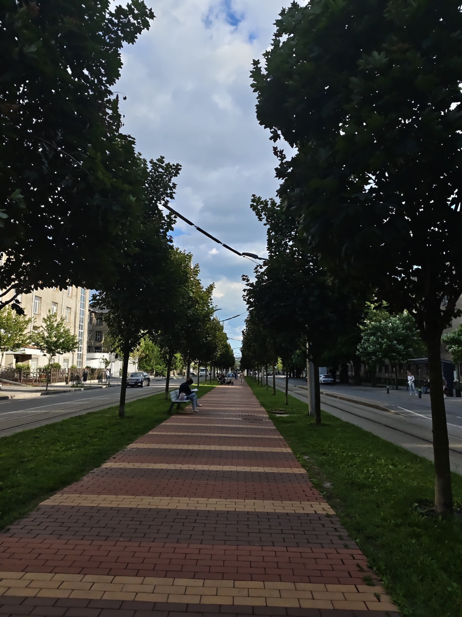 The image depicts a tree-lined promenade in Vinnytsia, Ukraine. The promenade features a pathway paved with red and yellow bricks, bordered by green grass and mature trees. On the left side of the promenade, a street is visible with cars, tram tracks, and buildings. On the right side, more trees and buildings line the street, along with a tram stop.
Several people are present in the scene. In the foreground, a person sits on a park bench, reading a book. Further down the promenade, other individuals can be seen walking or resting. The sky is partly cloudy, suggesting it is daytime, likely late afternoon, with diffused sunlight. The overall atmosphere is peaceful and urban. The image provides a glimpse of everyday life in Vinnytsia, showcasing the city's infrastructure and public spaces.