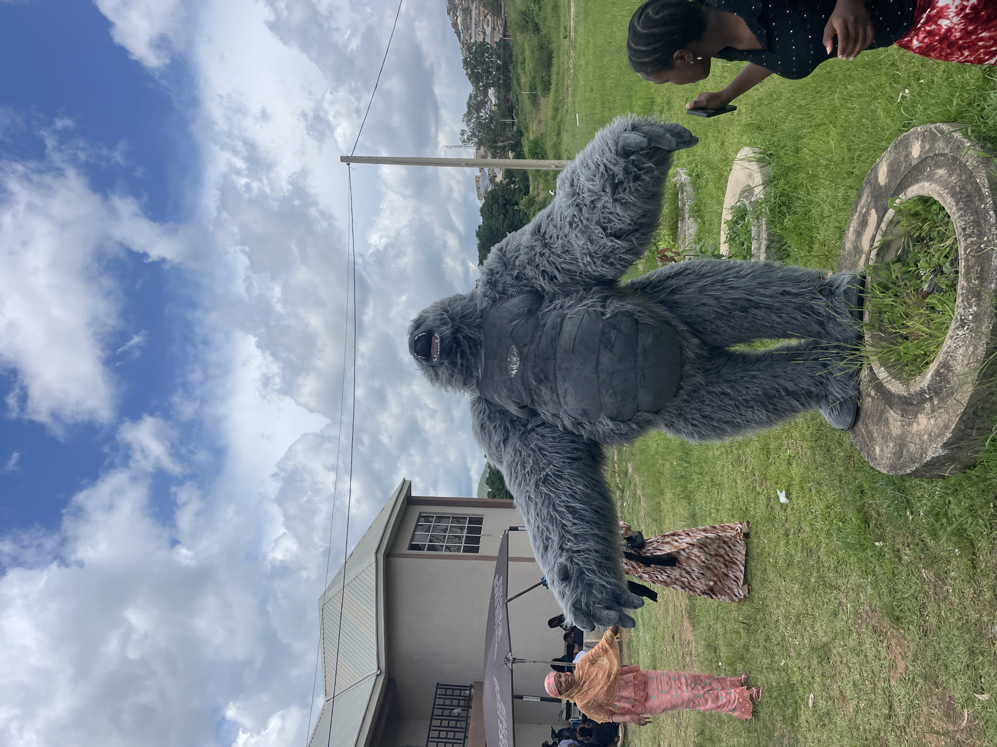 In the city of Jos, Nigeria, an outdoor scene unfolds under a cloudy sky. A person in a grey gorilla costume stands prominently in the center, its arms extended outwards. The costume is made of shaggy grey fur with a dark grey belly and chest. To the left of the gorilla, two women are visible. One woman, on the far left, wears a pink patterned dress and headscarf. Beside her, another woman wears a brown and white patterned dress. In the foreground, a third woman, on the right, faces the gorilla, holding a black smartphone, appearing to take a picture. She is wearing a black top and a red and white patterned skirt. The ground is covered in green grass, with several circular concrete structures partially visible. In the background, a light-colored building with a balcony and tiled roof stands, along with trees and a hillside with houses. A utility pole with wires is also present.