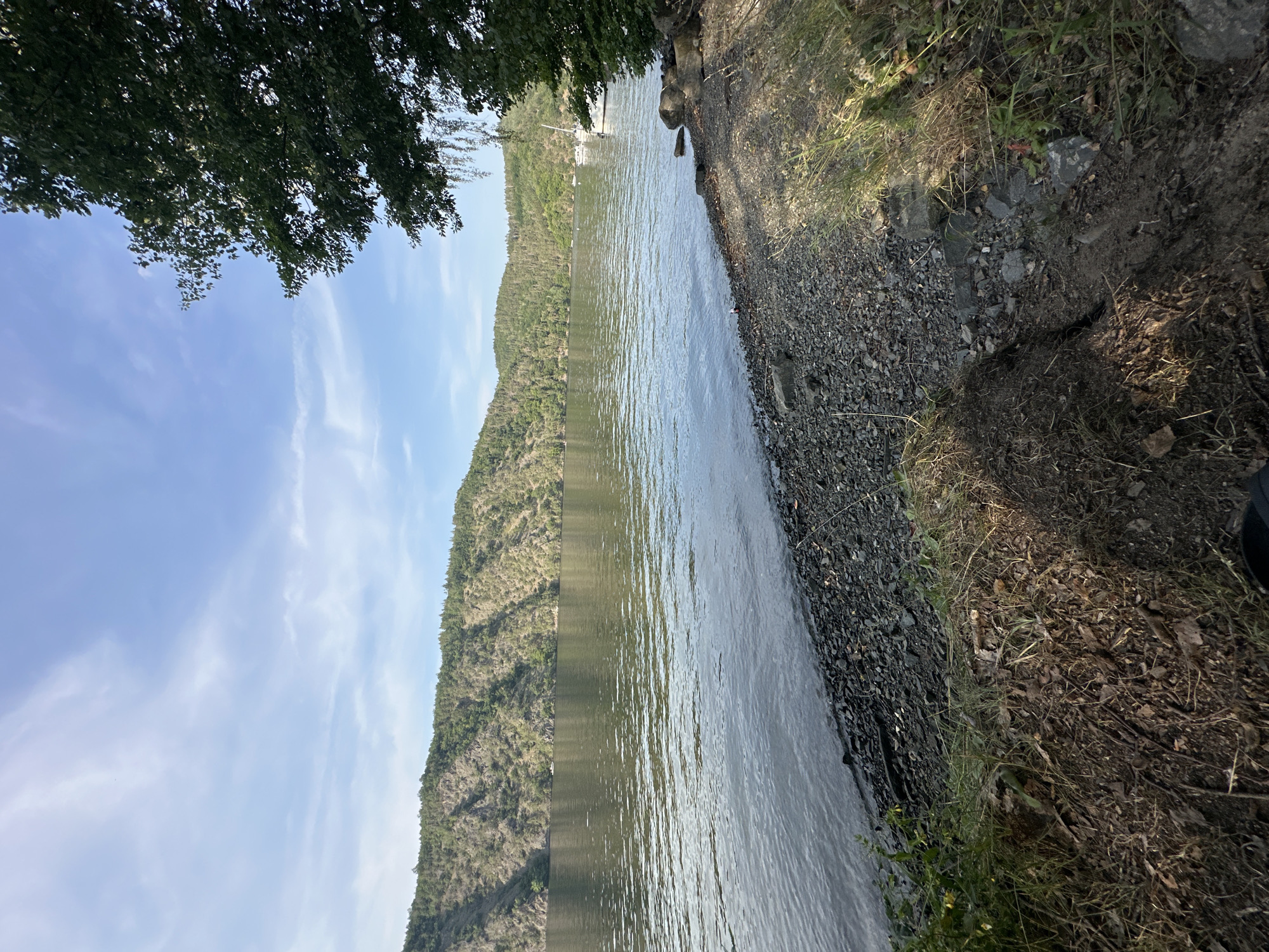 The image shows a wide, calm river bordered by lush green hills. The sky is a clear blue with scattered wispy clouds. On the right side of the frame, a large tree with dark green leaves overhangs the rocky shoreline. A few sailboats are visible in the distance on the river. The foreground consists of a rocky beach with some dry grass and dirt. The overall scene is serene and natural.