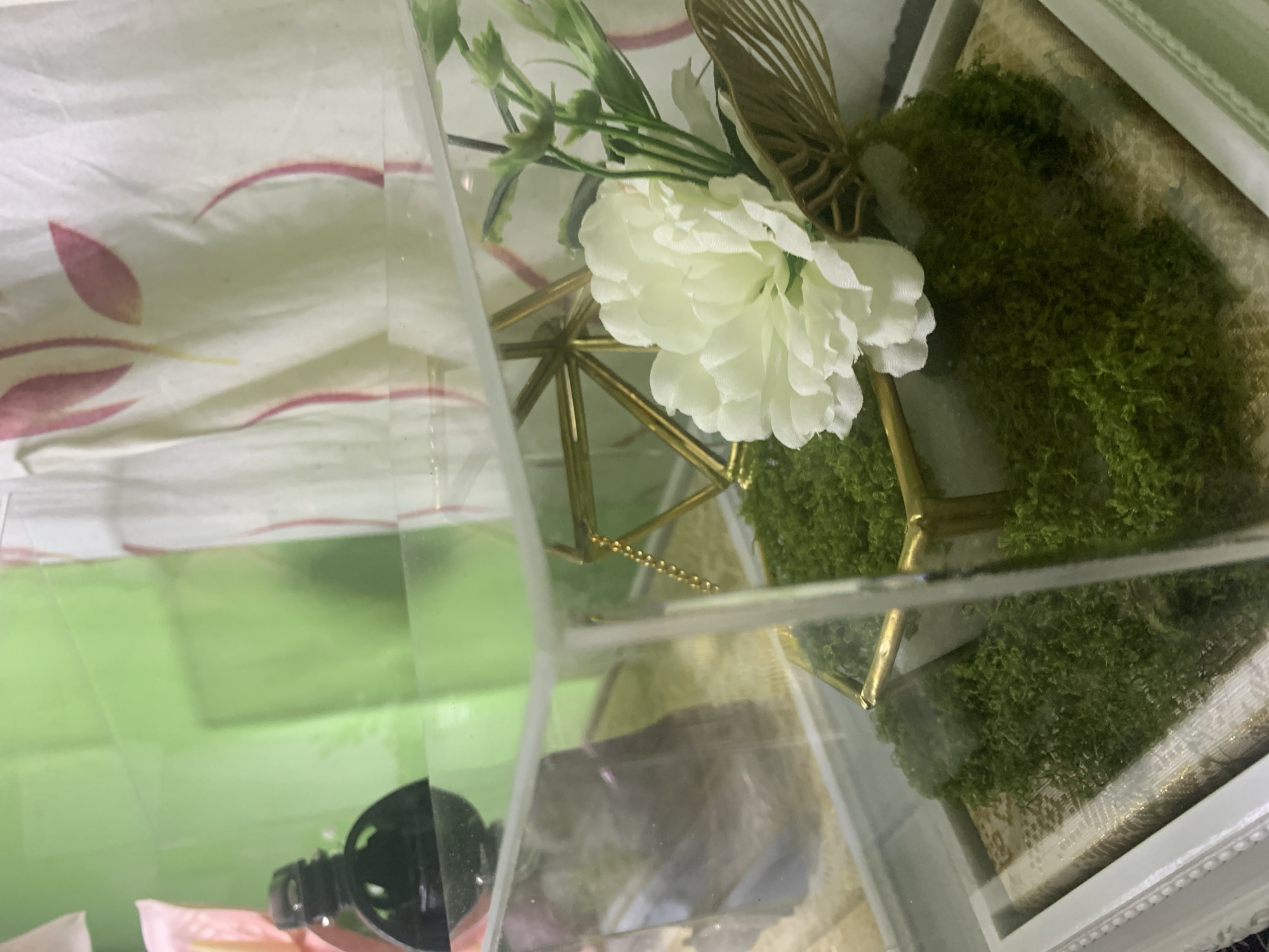 This media file depicts a decorative arrangement within a clear, geometric display box. The primary subject is a white, multi-petaled flower, likely artificial, positioned centrally. Behind the flower, a delicate, gold-colored geometric structure is visible, adding an element of modern design. Green, moss-like material fills a portion of the display box, providing a naturalistic contrast to the artificial flower and metallic structure. A hint of a decorative, light-colored fabric with a repeating pattern can be seen in the background, suggesting the arrangement is part of a larger decorative setup or display.
The scene appears to be indoors, with soft, ambient lighting that does not strongly indicate a specific time of day. The overall impression is one of a carefully curated aesthetic piece, possibly for an event, home decor, or a shop display. No people are visible. The focus is entirely on the objects and their arrangement. The clear acrylic or glass of the display box creates reflections and refractions, adding to the visual complexity. The location context of Kuala Pembuang, Indonesia, is noted but does not offer direct visual cues within the frame itself. There is no visible text in the media file.