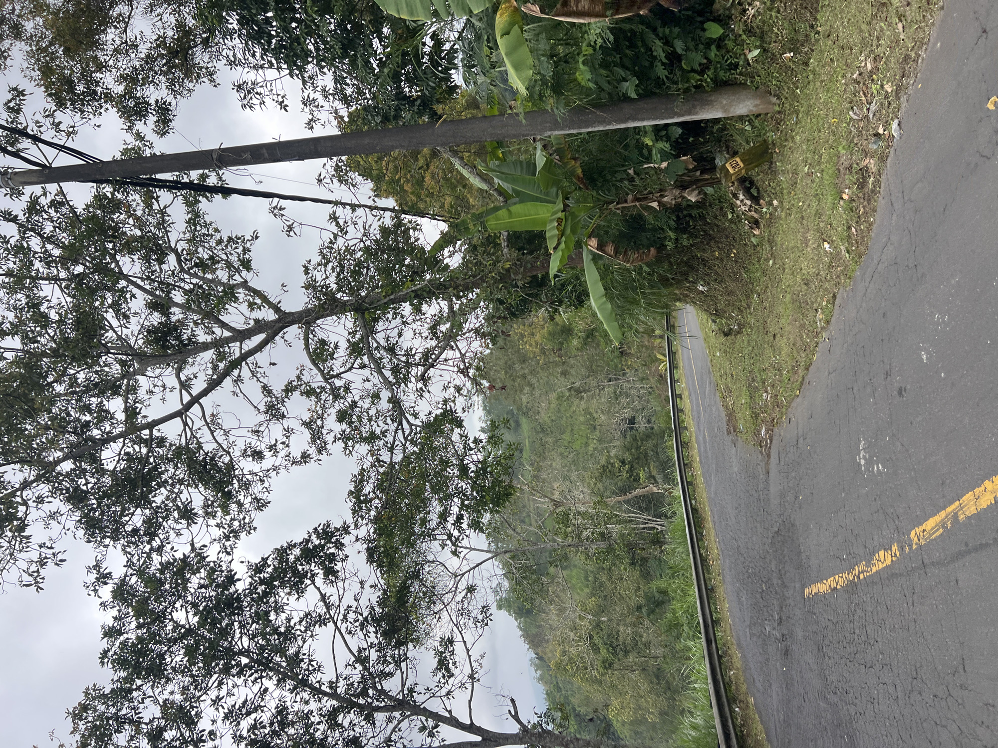 The image shows a winding asphalt road with a yellow line marking the center. The road is bordered by a metal guardrail on the left and a grassy embankment on the right, which is covered in fallen leaves. A utility pole stands on the right side of the road, with wires running overhead. Lush green vegetation and trees surround the road, with a hilly landscape in the background. The sky is overcast. The location is identified as the city of Rendang, Indonesia.