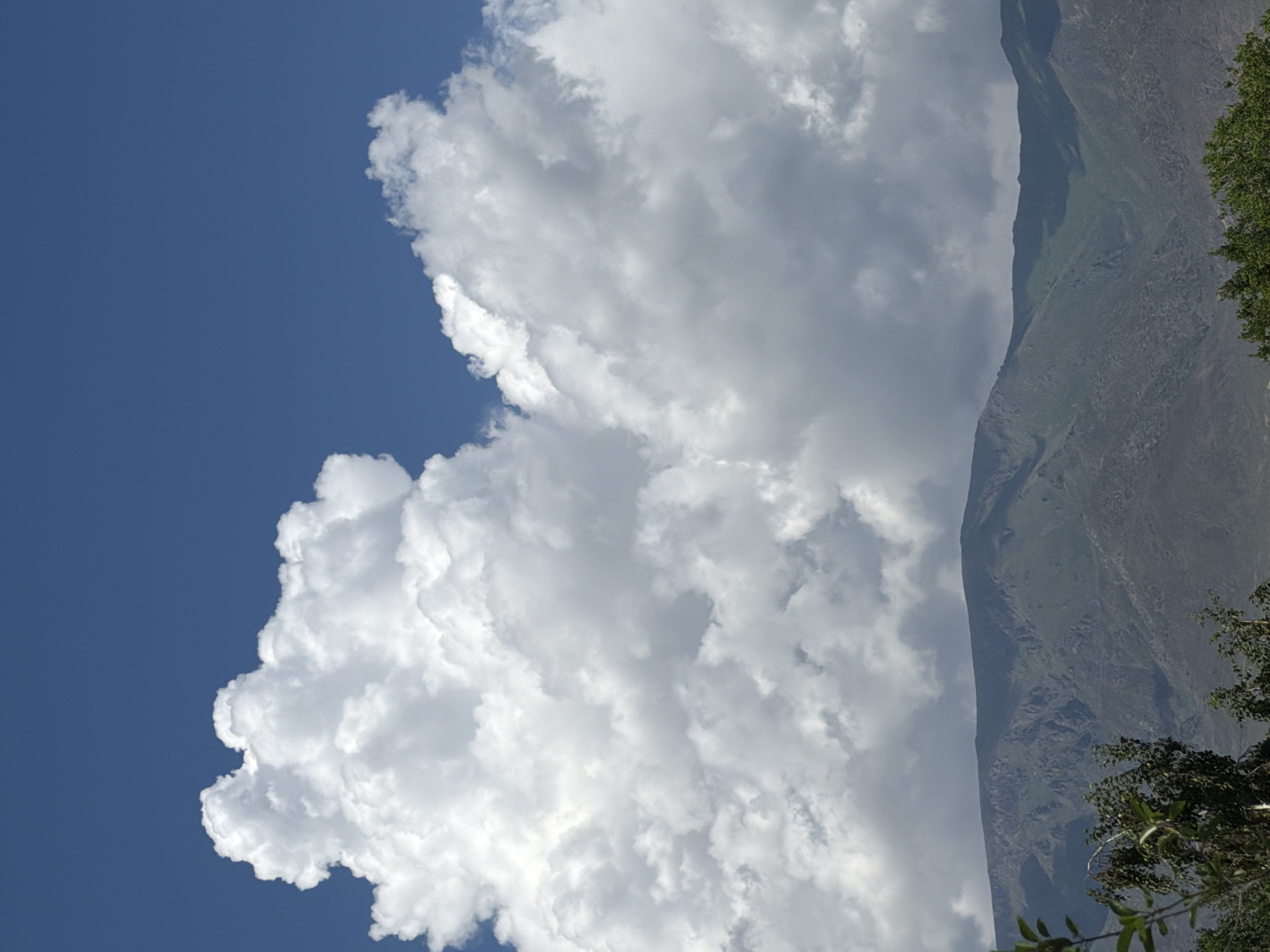 This is a landscape photograph taken outdoors. The image is oriented vertically and depicts a dramatic sky filled with large, fluffy white clouds against a deep blue sky. To the right of the clouds, a steep, verdant mountain slope rises sharply, disappearing into the clouds at the top. The texture of the mountain suggests a rugged, natural terrain. In the foreground and on the far right edge of the image, a portion of lush green foliage is visible, with some branches and leaves intruding into the frame. The lighting suggests it is daytime, possibly late morning or early afternoon, given the bright illumination of the clouds and the clear blue sky. The weather appears fair, with the clouds indicating potential for changeable conditions. There is no visible text in the image. The scene evokes a sense of natural grandeur and the vastness of the sky and mountains.