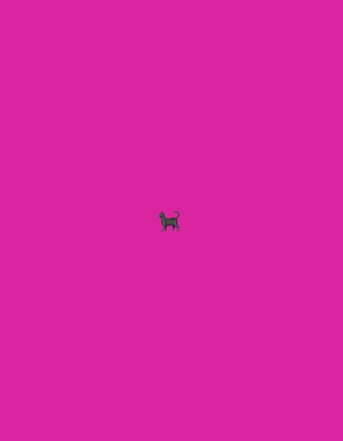 A dark grey cat stands in the center of a vibrant pink, featureless background. The cat is in profile, facing left, with its tail curved upwards. There is no discernible environment, city, or location information.
