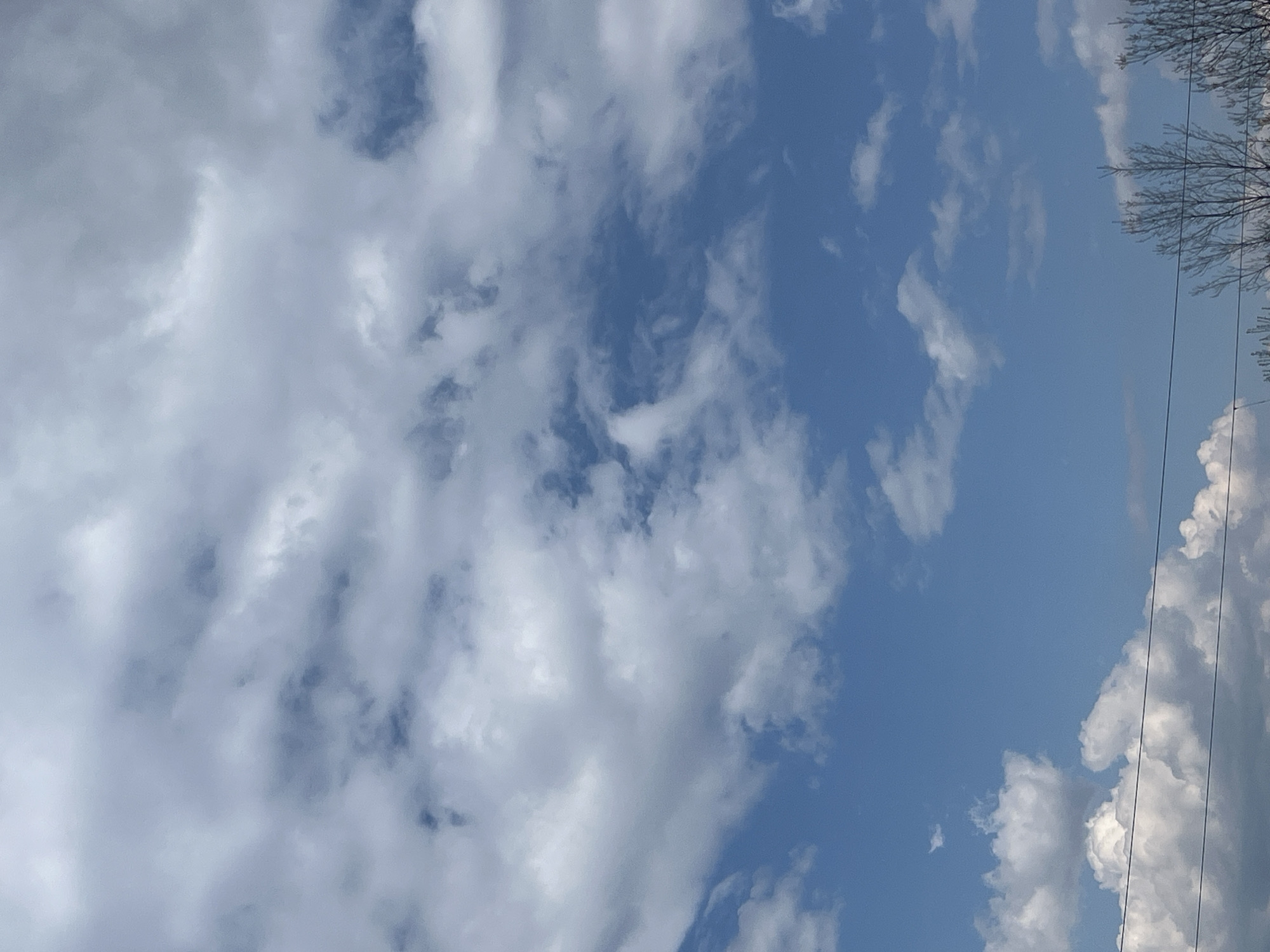 The image shows a sky with scattered clouds and patches of blue. In the upper right corner, there are bare tree branches. There are also overhead power lines in the lower right corner. The location is unknown, but it is requested to include "Sofia, Bulgaria" even without knowing the context. So, it is a sky with clouds in Sofia, Bulgaria, with trees and power lines visible.