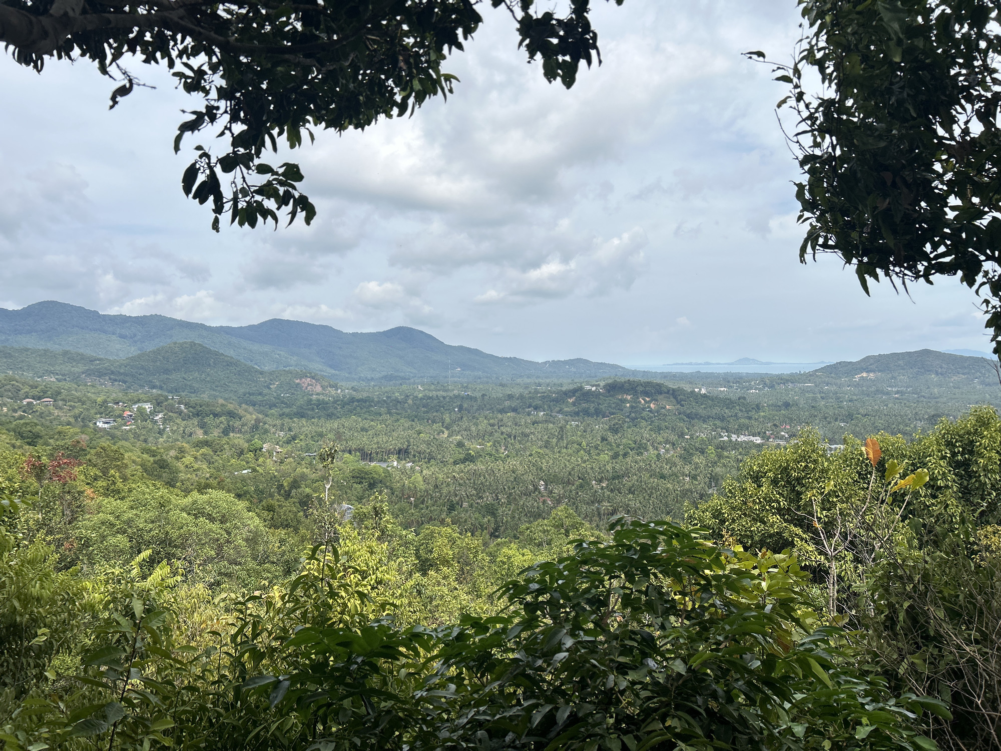 The image depicts a scenic view from an elevated position in Baan Hin Kong, Thailand. The foreground is filled with lush, green foliage and tree branches that partially frame the landscape. Beyond the foreground vegetation stretches a vast expanse of dense tropical greenery interspersed with scattered buildings and residences, suggesting a settled landscape. In the distance, rolling hills form a backdrop, their slopes covered in verdant vegetation, leading to a horizon where the sky meets a faint line of water, possibly the ocean. The sky is overcast with a blanket of grey clouds, providing a soft, diffused light over the entire scene.