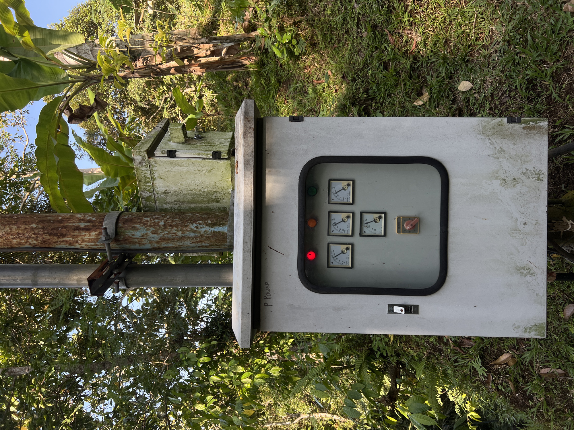 A close-up, eye-level shot captures an outdoor electrical control box in a natural, somewhat overgrown setting. The box is made of a light-colored, possibly metal material and is mounted on a pole. It has a hinged door with a black trim, and on the front are several analog meters with needles indicating readings, a red indicator light, and a switch. A smaller, aged-looking, moss-covered box is mounted on a pole above the main control box. Two poles, one appearing weathered and rusty, and the other a smooth gray metal, support these boxes. The background consists of lush green foliage, including broad leaves of a banana plant and other trees and plants, suggesting a rural or semi-rural location. Sunlight filters through the leaves, creating dappled lighting. The ground is covered with grass and fallen leaves. The text "P. POWER" is visible on the top of the control box. There are no people present in the image. The scene is likely located outdoors in an area with vegetation, possibly a utility area in the city of Kerambitan, Indonesia.