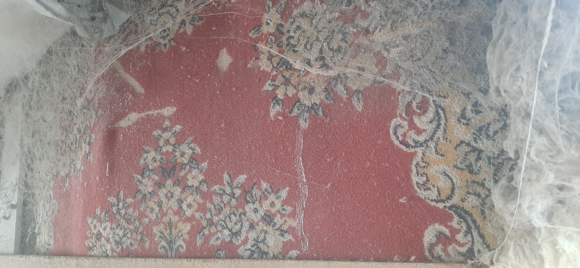 The image shows a close-up of a red carpet with a floral pattern, heavily covered in dust and cobwebs. The carpet appears to be old and possibly damaged, with some areas of fraying. The floral design consists of white and yellow flowers with gray and black accents. The cobwebs are thick and prominent, obscuring parts of the carpet and creating a sense of neglect. There are also some wisps of white insulation material visible, particularly on the right side of the image and in the upper left corner. The overall impression is one of disuse and decay. The location of the image is not discernible from the visual information provided.