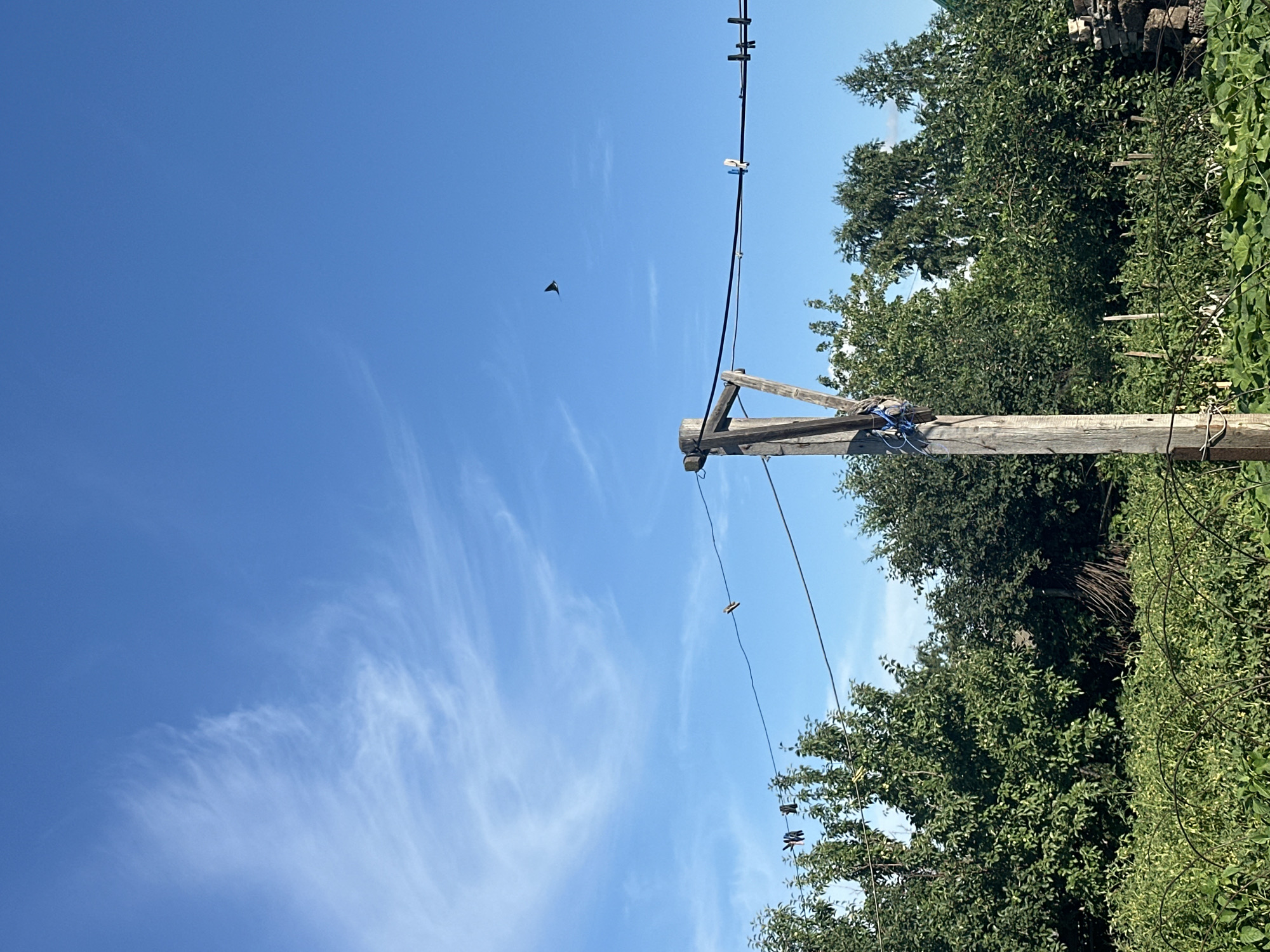 The image depicts a rural outdoor scene under a clear blue sky with wispy white clouds. In the foreground, a wooden post stands to the right, supporting clotheslines strung with several clothespins. Dense green trees and vegetation form a background, suggesting a garden or orchard. A bird is visible in flight in the upper right portion of the sky. The environment appears to be a residential area in the city of Tobyl, Kazakhstan.