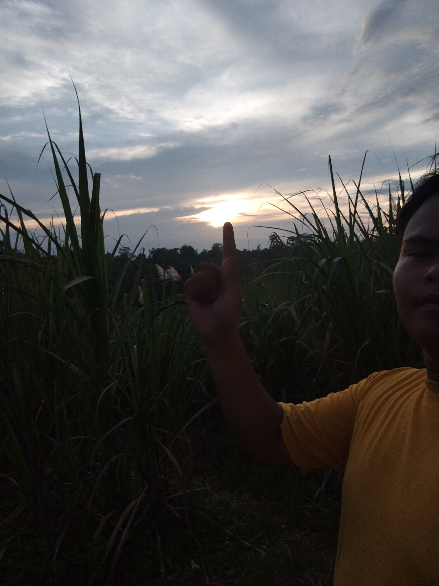 A person wearing a yellow shirt is holding up their index finger toward a sunset in a field of tall grasses. The location appears to be rural. The city and state of Unknown, Unknown, cannot be verified from the image.