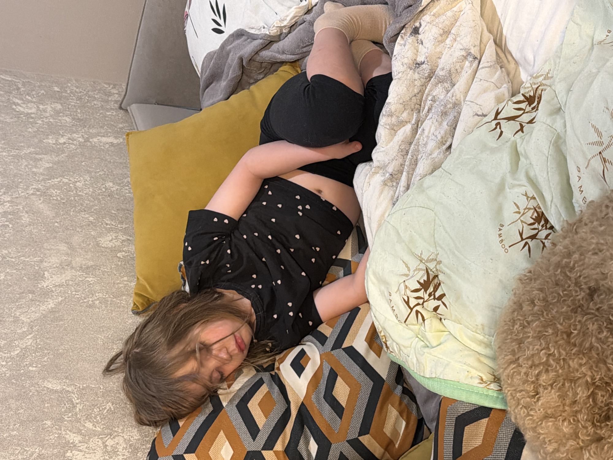 In this overhead shot, a young girl with blonde hair and glasses sleeps on a bed. She is lying on her side, facing the camera, with her head resting on a patterned pillow. Her eyes are closed, and her mouth is slightly open, suggesting she is deeply asleep. She is wearing a black t-shirt with small white heart patterns and black shorts, with tan socks on her feet. Her arms are positioned in a relaxed manner, with one resting on her torso and the other extended.
The bed is covered with various blankets and pillows. A yellow pillow is visible to the left of the girl, and a grey blanket is draped over it. Another blanket, with a pattern of grey and white abstract shapes, is under the girl. To the right of the girl, a light green blanket with a bamboo print is spread out. The background consists of a textured wall and what appears to be a couch or chair. The overall scene suggests a comfortable and relaxed setting, likely indoors, perhaps in a bedroom or living room. The lighting in the image is soft, indicating it might be daytime, but the exact time of day is unclear. There is no visible text in the image.