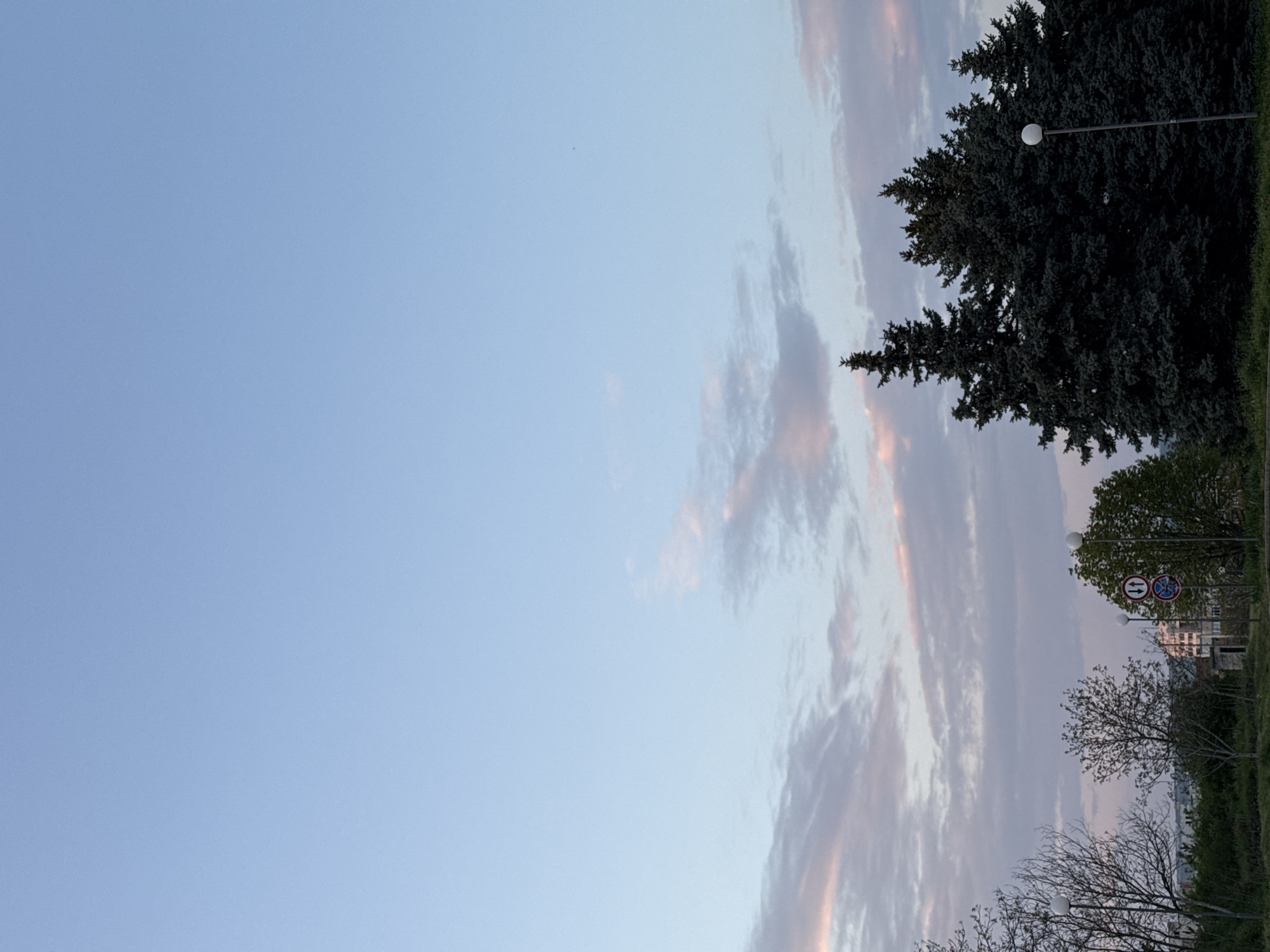The image shows an outdoor scene. The sky takes up most of the image, with pale blue coloring. There are elongated streaks of clouds tinged with orange and pink. On the right side of the image, there are various trees. A dark green conifer tree is near the top, and there are more deciduous trees below. In the distance, a lamppost and road signs are visible. The image appears to be taken in Pleven, Bulgaria, as indicated by the road sign.