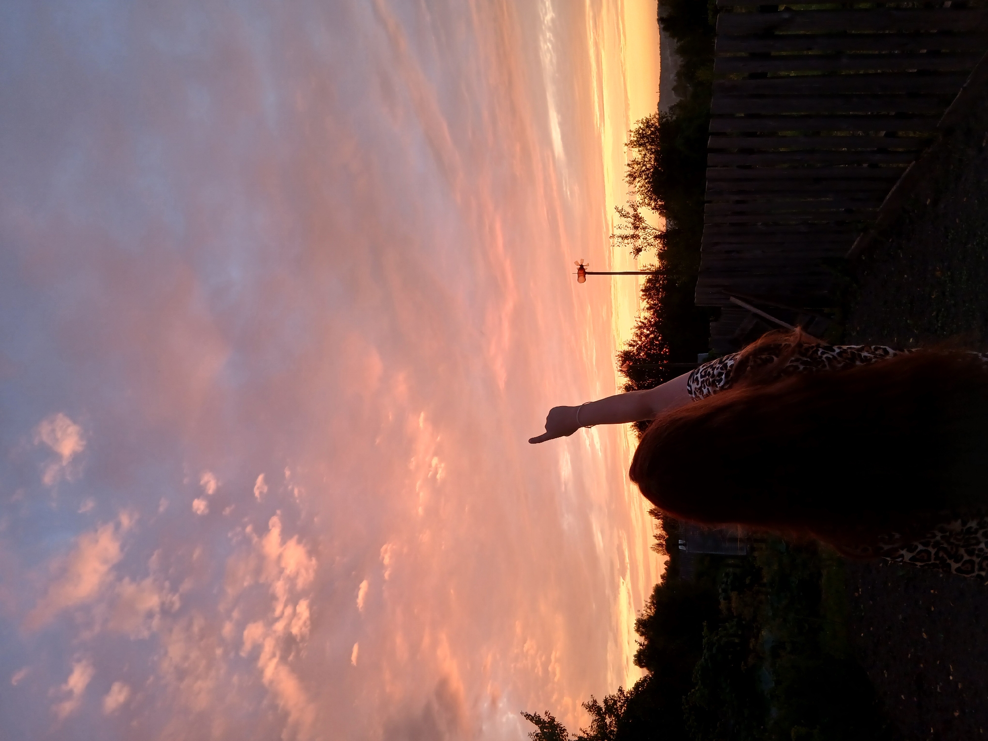 A person with long, dark red hair stands in a silhouetted garden facing away from the camera, their right arm extended upward with a finger pointing towards a pastel-colored sky filled with clouds. The sky displays a gradient of pink, orange, and purple hues, indicative of a sunset or sunrise. The foreground is dark, showing the ground and some foliage. To the right, a weathered wooden fence runs horizontally across the frame, separating the garden from a line of trees and a distant, low-lying landscape. A solitary pole with a red, horn-like structure is visible in the middle ground against the sky. The overall scene is one of natural beauty and human interaction with the environment.