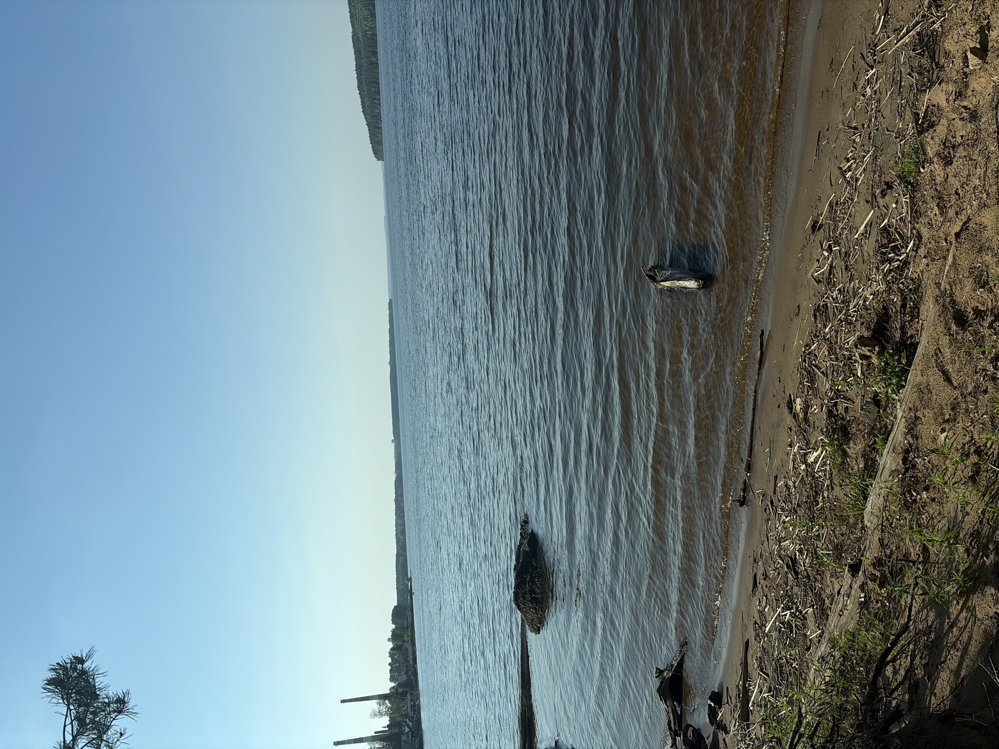 The image depicts a body of water, likely a lake or river, bordered by a sandy shoreline. The water is slightly rippled, suggesting a gentle breeze. A piece of driftwood floats near the edge of the water. The shoreline is composed of sand, interspersed with scattered twigs, leaves, and sparse vegetation. In the distance, across the water, a line of trees is visible, with two tall smokestacks protruding from behind them, suggesting a town or industrial area. The sky is a gradient of pale blue, with a slightly hazy appearance. The location is specified as Unknown, Unknown.