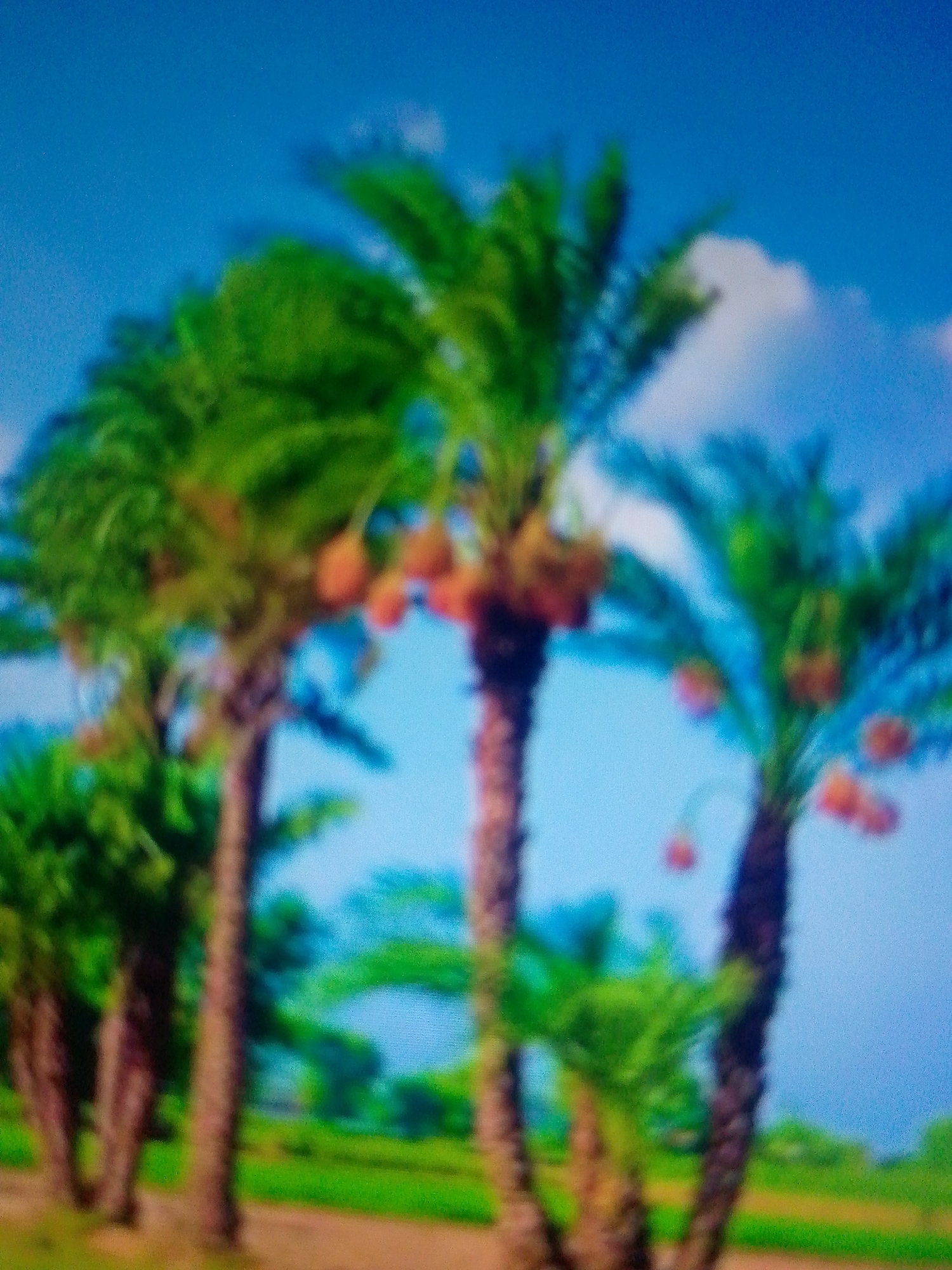 The image displays a highly blurred outdoor scene featuring multiple palm trees against a bright blue sky. The overall impression is one of a natural landscape, possibly an oasis or a date palm grove.
The main subjects are several tall palm trees with visible trunks, which appear to be brown or reddish-brown. At the top of the trunks, dense clusters of green fronds are discernible, though their individual shapes are indistinct due to the blur. Many of the palm trees also show clusters of reddish-orange fruit hanging from beneath the fronds, strongly suggesting they are date palms laden with dates.
The sky in the background is a vibrant, clear blue, with faint, blurry white shapes that could be clouds, particularly noticeable towards the upper right of the frame. The foreground shows a blurry strip of reddish-brown ground, possibly a dirt path or dry earth. In the mid-ground, behind the main trees, there are hints of green foliage or grass.
No specific activity or event is taking place; the image captures a static natural scene. The time of day appears to be daytime, given the bright sky. The weather seems clear and sunny. There are no discernible people or man-made objects, nor is there any visible text in the image. The extreme blur is the most prominent characteristic, preventing any sharp details from being perceived.