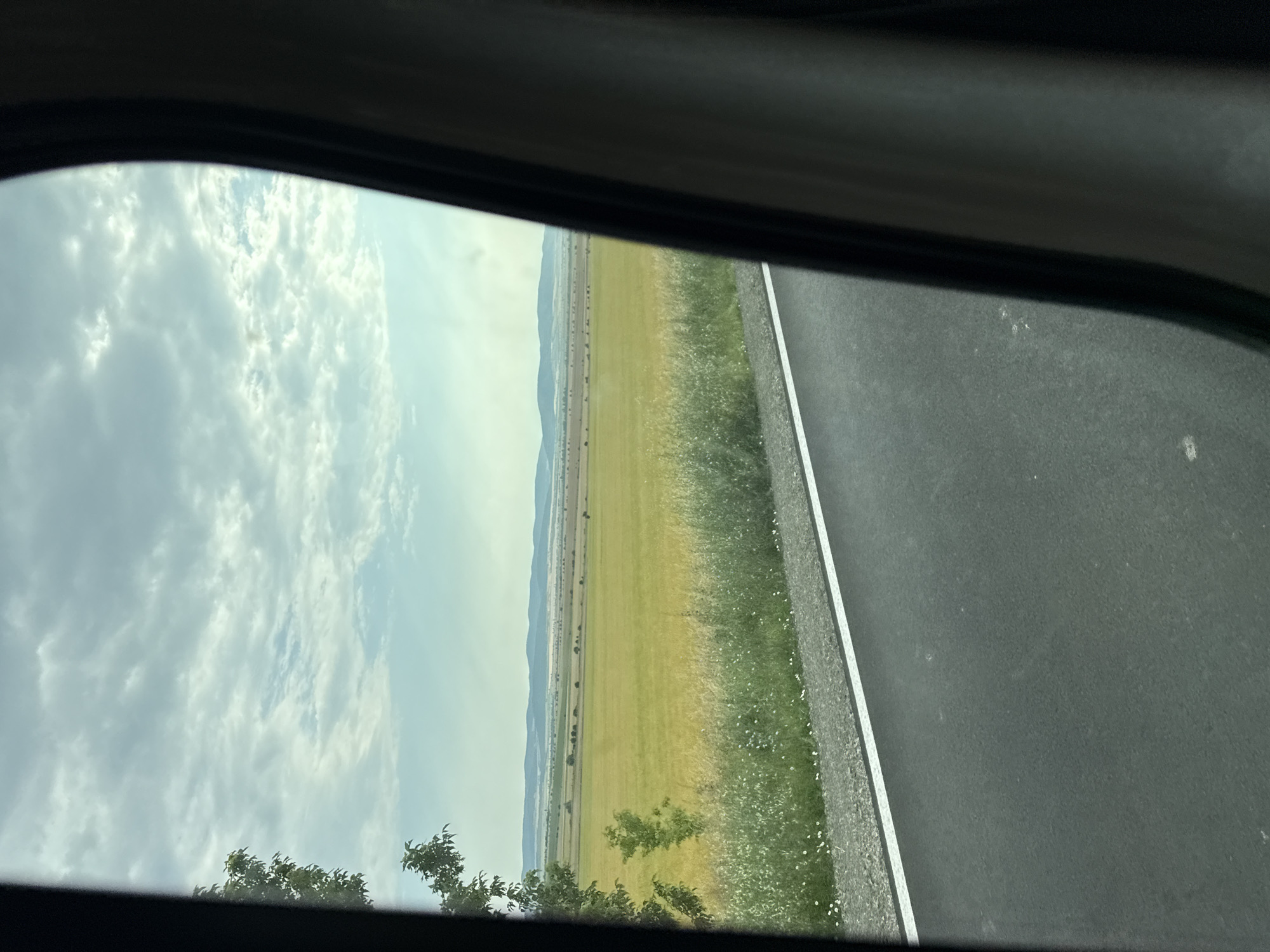 This is an outdoor, daytime, eye-level shot taken from inside a vehicle looking out through the window. The scene depicts a rural landscape with a road in the foreground. The road is asphalt with a white line marking the edge. To the left of the road, there is a strip of gravel and then a field of tall, green grass with scattered small white flowers. Beyond the grass is a large field of yellow-green crops, possibly wheat or barley, stretching towards a distant horizon. In the far distance, there are rolling hills under a partly cloudy sky. A lone tree with green foliage is visible on the left side of the frame, closer to the viewer. The right side of the image is partially obscured by the interior of the vehicle, possibly a car window frame or interior panel. The location is identified as Venets, Bulgaria. There are no people or animals visible in the image.
