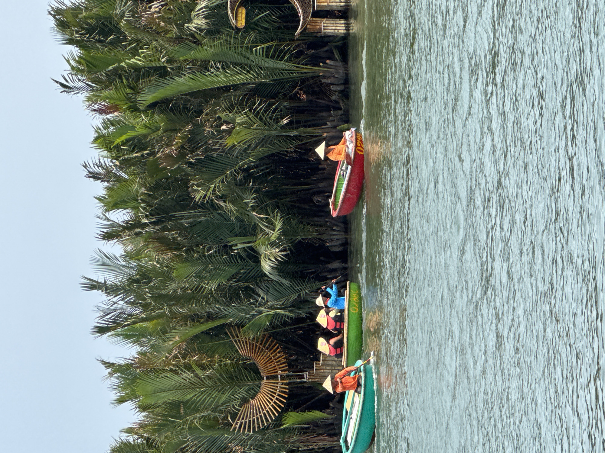This media file captures a serene and culturally rich scene of people enjoying a boat tour on a tranquil river, likely in the Cam Thanh area near Đà Nẵng, Vietnam. The image, originally rotated, depicts the river flowing horizontally with a dense wall of lush green nipa palm vegetation along the left bank under a bright, clear sky.
Several small, colorful boats, resembling traditional Vietnamese basket boats or canoes, are visible on the water. In the foreground, a teal-green boat carries at least two individuals, one wearing a traditional Vietnamese conical hat (nón lá) and an orange life vest, actively paddling. Behind it, a green boat, clearly marked with the registration number "0287O", is occupied by several passengers, all sporting nón lá hats and brightly colored life vests (yellow, red, blue), some of whom are also paddling. Further back, a red boat with the number "G260" visible on its side also carries a person wearing a nón lá and an orange life vest.
Along the riverbank, the thick canopy of nipa palms creates a vibrant natural setting. A prominent decorative structure made of bamboo or wood, fanning out in a semi-circular pattern, stands on the bank, adding an artistic and cultural touch to the landscape. A partially obscured sign in the background faintly displays "CAM THANH," a location known for its coconut forest tours. The scene evokes a peaceful and engaging recreational activity, likely a tourist excursion, under clear daylight conditions.
