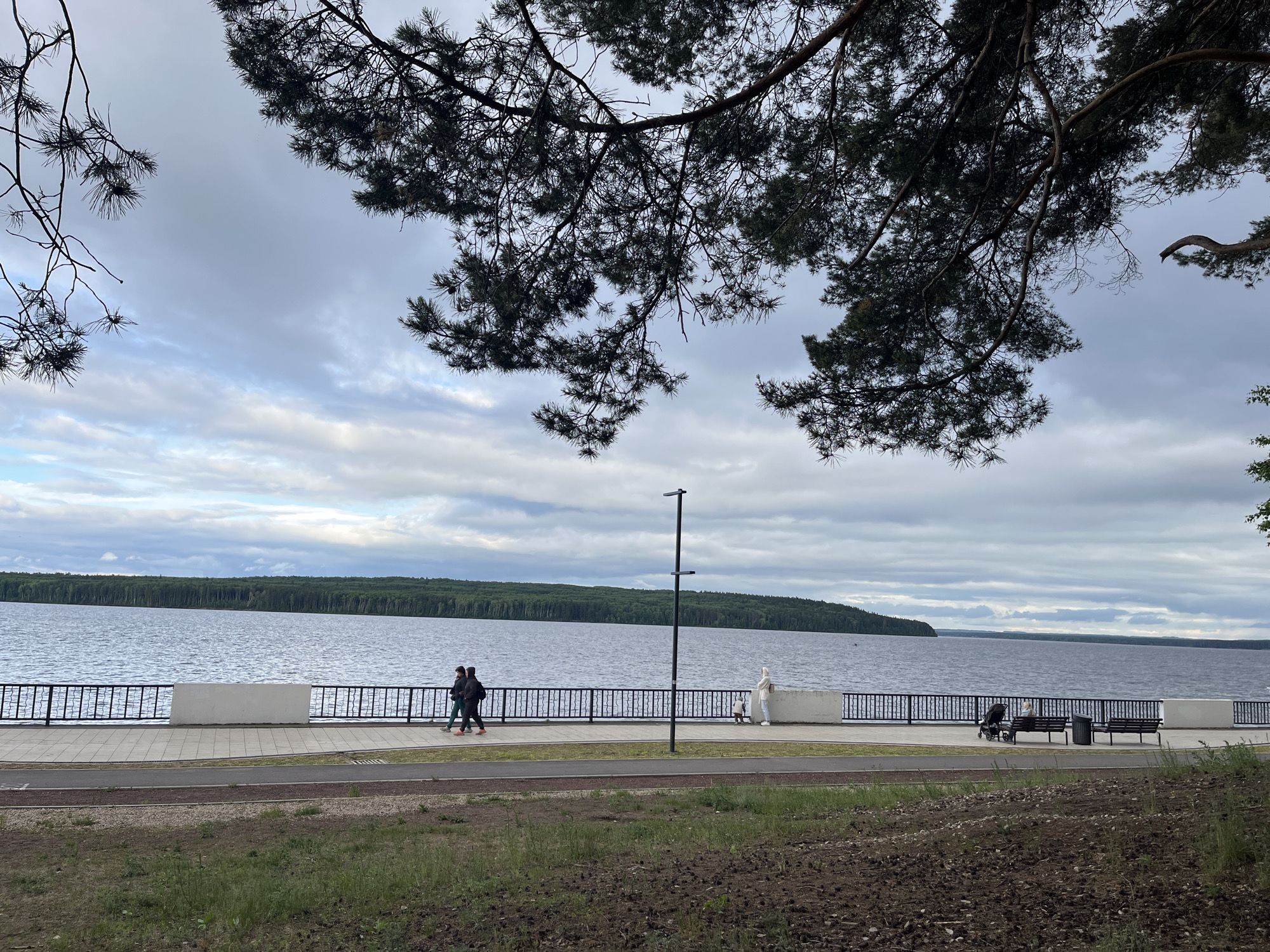 The image captures a serene waterfront promenade in Chaikovsky, Russia, on an overcast day. Overhead, dark pine branches with needles frame the upper portion of the scene against a cloudy, light-blue sky. Below, a wide body of water, likely a river or reservoir, extends horizontally across the middle of the frame, its surface showing ripples. A dense line of evergreen forest is visible on the distant shore.
In the foreground, a paved promenade features a black metal fence atop a white concrete barrier separating it from the water. A black lamppost stands prominently on the promenade, slightly right of center. Two individuals walk from left to right on the promenade, followed by another person in light attire standing near the white barrier, with a small object or child on the ground nearby. Further to the right, an individual is seated on a dark brown park bench, next to a baby stroller. Another empty bench and a black trash can are positioned to the right of the seated person.
The immediate foreground consists of a strip of ground with patchy green grass and exposed brown soil, showing some scattered debris or pine needles. A paved pathway, possibly for bicycles or pedestrians, runs parallel to the promenade in this section.