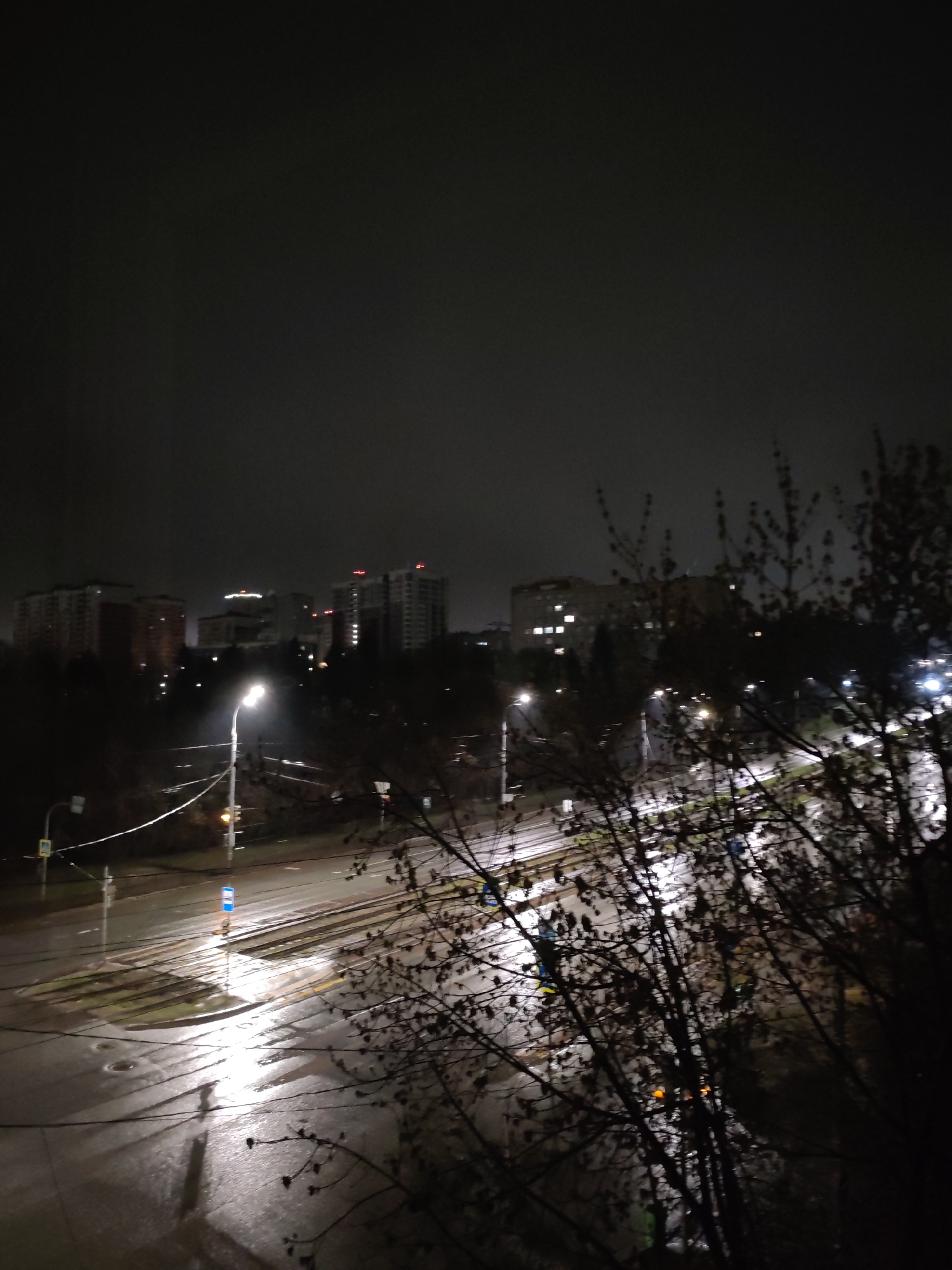The image shows an urban night scene, likely after rainfall. The wet pavement reflects the light from street lamps, creating bright, elongated reflections. In the background are several high-rise buildings, suggesting an urban environment. In the foreground, silhouetted branches of a tree partially obscure the view. Utility poles and wires run along the side of the road. The location is Izhevsk, Russia.