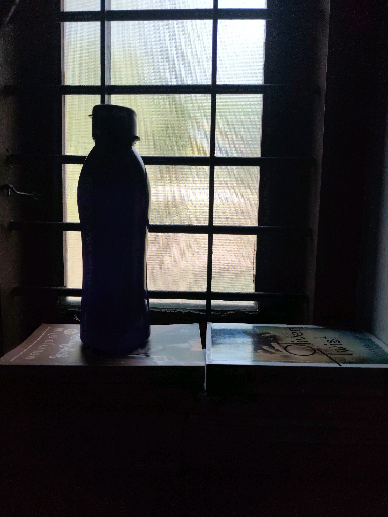 In the city of Kuttippuram, India, a dark blue water bottle stands silhouetted against a window with a grid of horizontal and vertical bars. The bottle rests on two books, one to its left and one to its right, both of which are partially obscured by the darkness of the foreground. The book on the left has text in an unfamiliar script, while the book on the right is partially visible and appears to have the title "Oliver Twist" in English. The window behind the bottle is frosted, allowing diffuse light to pass through, revealing a blurry green and yellow landscape outside. The scene is dimly lit, with the water bottle and books casting dark shadows.