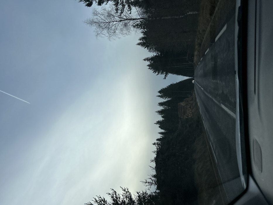 The image presents a two-lane asphalt road traversing a forested area within Sainte-Sigolène, France, viewed from the interior of a vehicle. The road surface appears damp, extending uphill and marked by white broken lane lines. To the left, a dense coniferous forest borders the road, featuring a large accumulation of dark forestry debris and a distinct stack of felled logs. To the right, a similar dense coniferous forest lines the road, with one bare deciduous tree visible among the conifers. In the far distance, a small, light-colored vehicle, possibly with illuminated headlights, is observed on the road. The sky is overcast, displaying a pale blue-grey coloration, and a single aircraft contrail is visible in the upper left quadrant. The bottom edge of the image reveals the upper portion of a vehicle's dashboard and a reflection on the windshield. No individuals are visible.