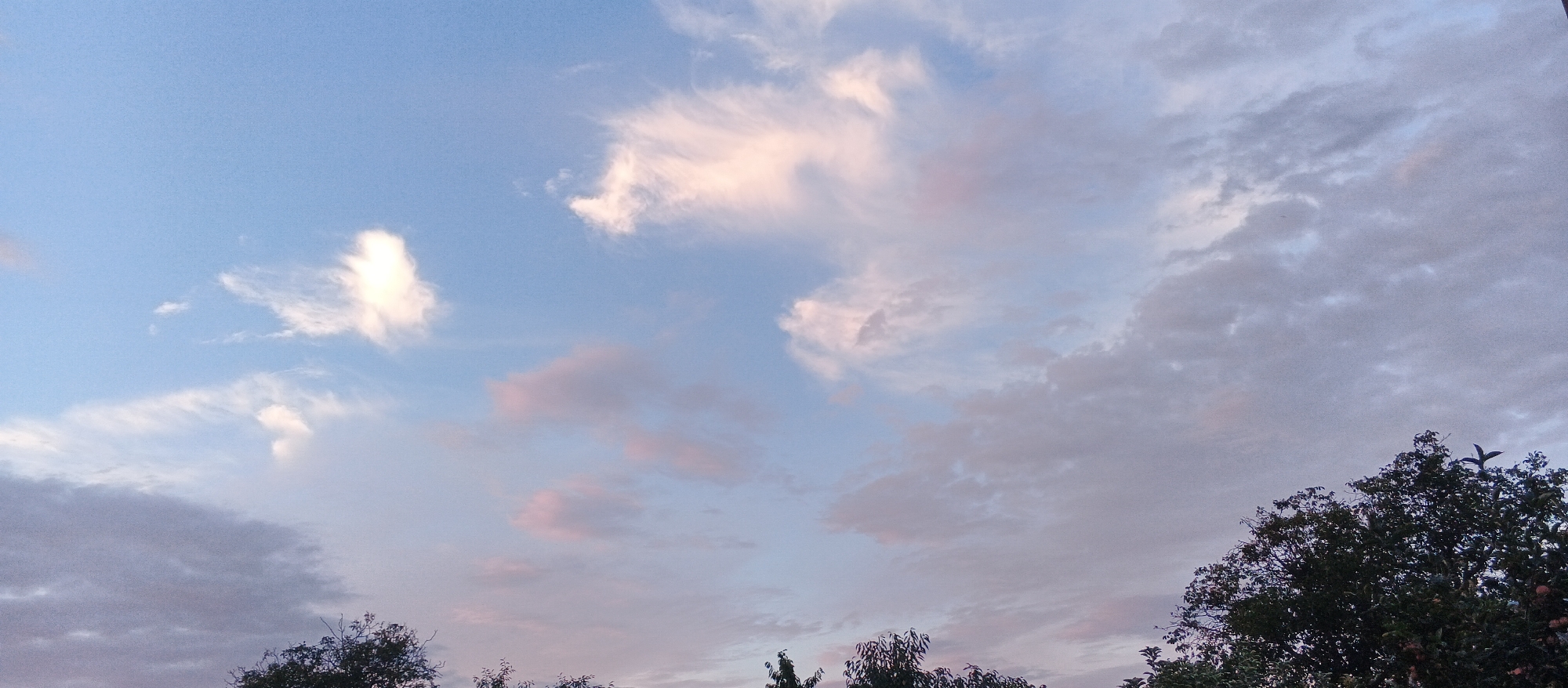 A twilight sky with wispy clouds, some tinged with pink and orange, stretches across the frame. The sky transitions from a pale blue at the top to a softer, muted tone near the horizon. A few scattered trees with dark green foliage are visible along the bottom edge of the image. One of the trees, located on the right side of the frame, has a small bird silhouetted against the sky perched on its highest branch. The image appears to have been taken outdoors, possibly in a park or suburban area of Smila, Ukraine, given the presence of trees and open sky. There are no people or specific man-made structures clearly identifiable. The overall impression is one of a serene, natural landscape during dusk.