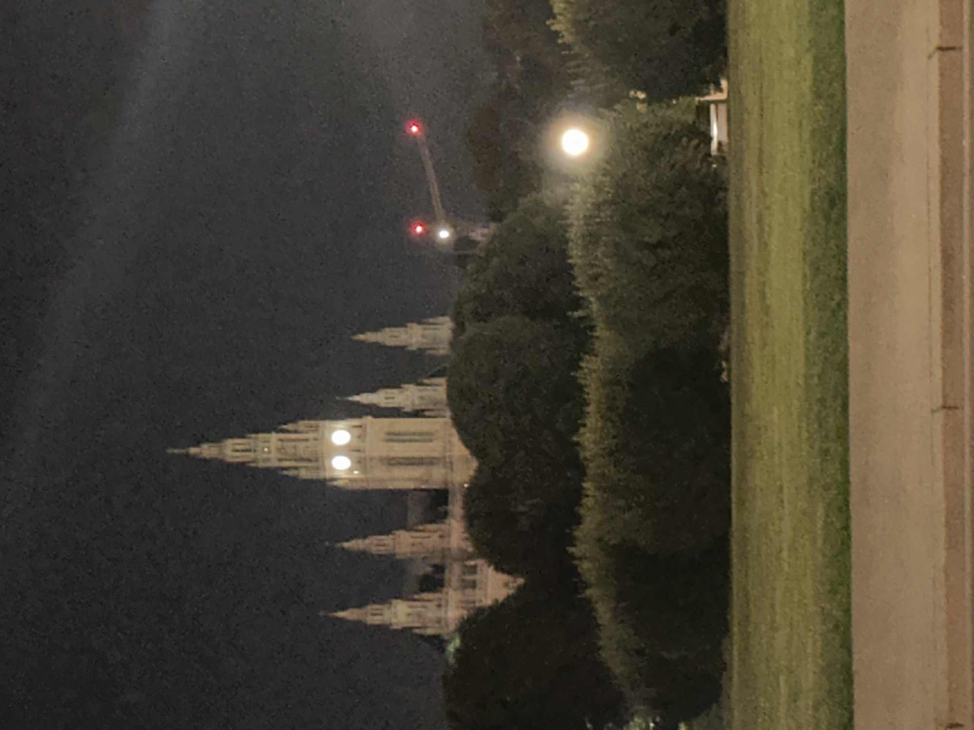 The image shows a nighttime view of the Vienna City Hall (Rathaus) in Vienna, Austria. The imposing Gothic Revival building is illuminated, with its spires and facade clearly visible against the dark sky. Two large, glowing clock faces are prominent on the central tower. In the foreground, there are dark, dense trees and bushes, and a well-lit patch of green lawn. A traffic signal with red lights is visible in the middle ground, and a bright, circular light source, possibly a streetlamp or a reflection, is present further back amidst the foliage. The scene is framed by a concrete walkway or road in the very bottom of the image. There are no people visible.