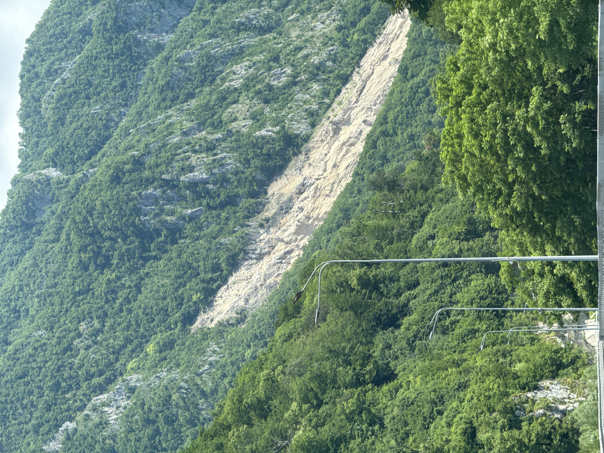 The image depicts a steep, forested mountainside with a prominent landslide scar. The landslide appears to be a recent event, characterized by a large area of exposed rock and debris cutting across the vegetation. Several streetlights are visible in the foreground, suggesting the presence of a road or infrastructure near the base of the mountain. The vegetation on the mountain is lush and green, indicating a temperate climate. The sky is overcast with some bright areas. The location is identified as the city of Monastyr, Russia.
