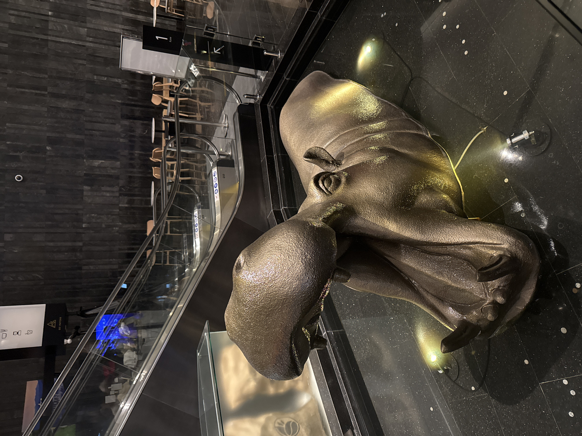 A low-angle, indoor photograph shows a hippopotamus sculpture in Bangkok, Thailand. The sculpture is made of a dark, metallic material with a rough texture, and it is positioned on a black, speckled, reflective surface. The statue is illuminated by multiple lights, which create bright spots on the floor and highlight the sculpture’s features.
To the left of the hippo statue is a modern-style staircase with glass railings, and a sign pointing to the first floor. The background includes a restaurant or cafe on the first floor and retail space on the ground floor. The architecture appears modern and upscale.