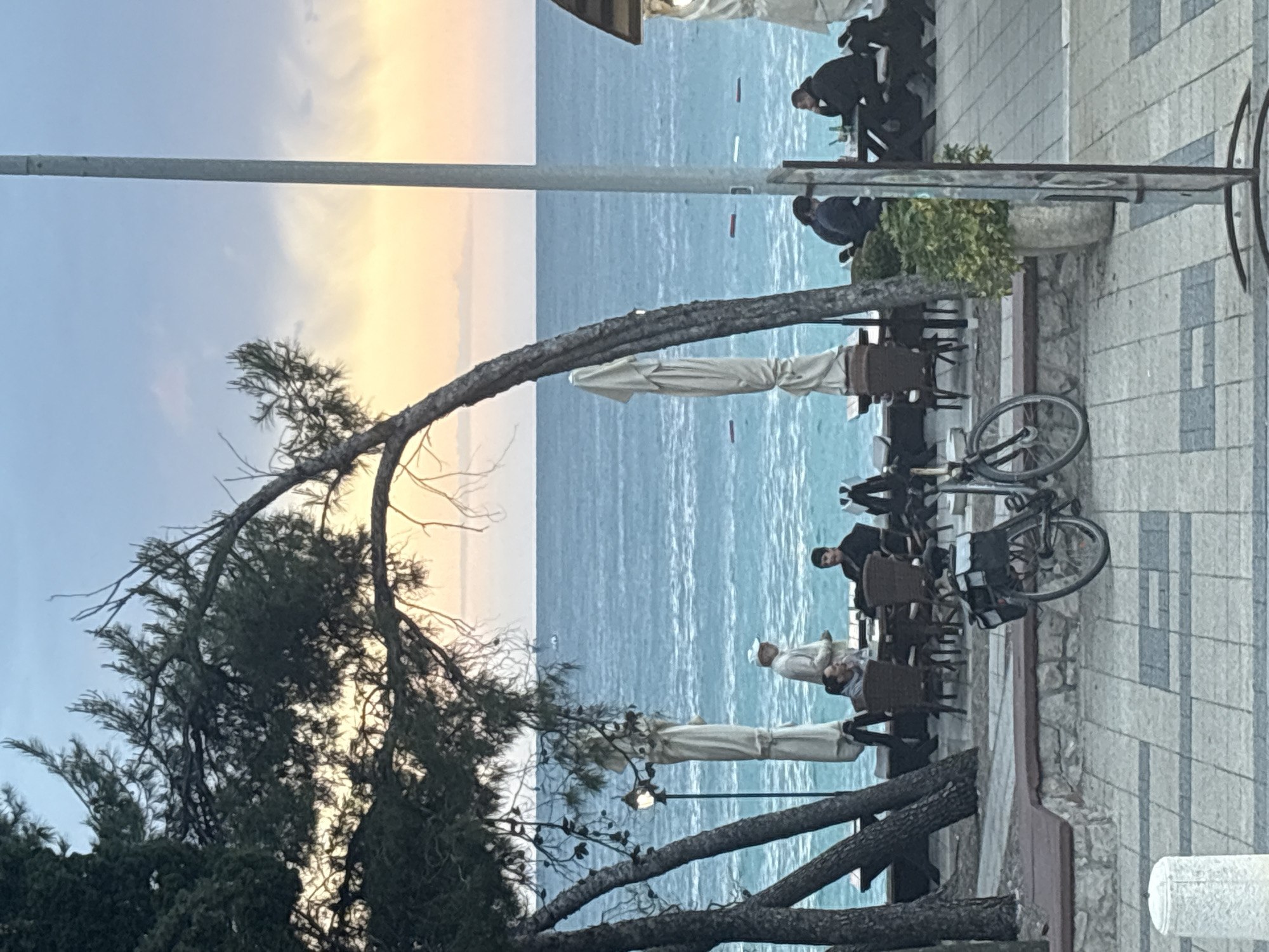 This photograph shows a seaside scene in Bar, Montenegro. The scene includes a sidewalk with tiled stones, and a tree with curved branches. Several people are seated at tables along the seaside. There are closed white sun umbrellas, chairs, and a parked bicycle. The sea is visible in the background. The sky above shows a sunset or sunrise.