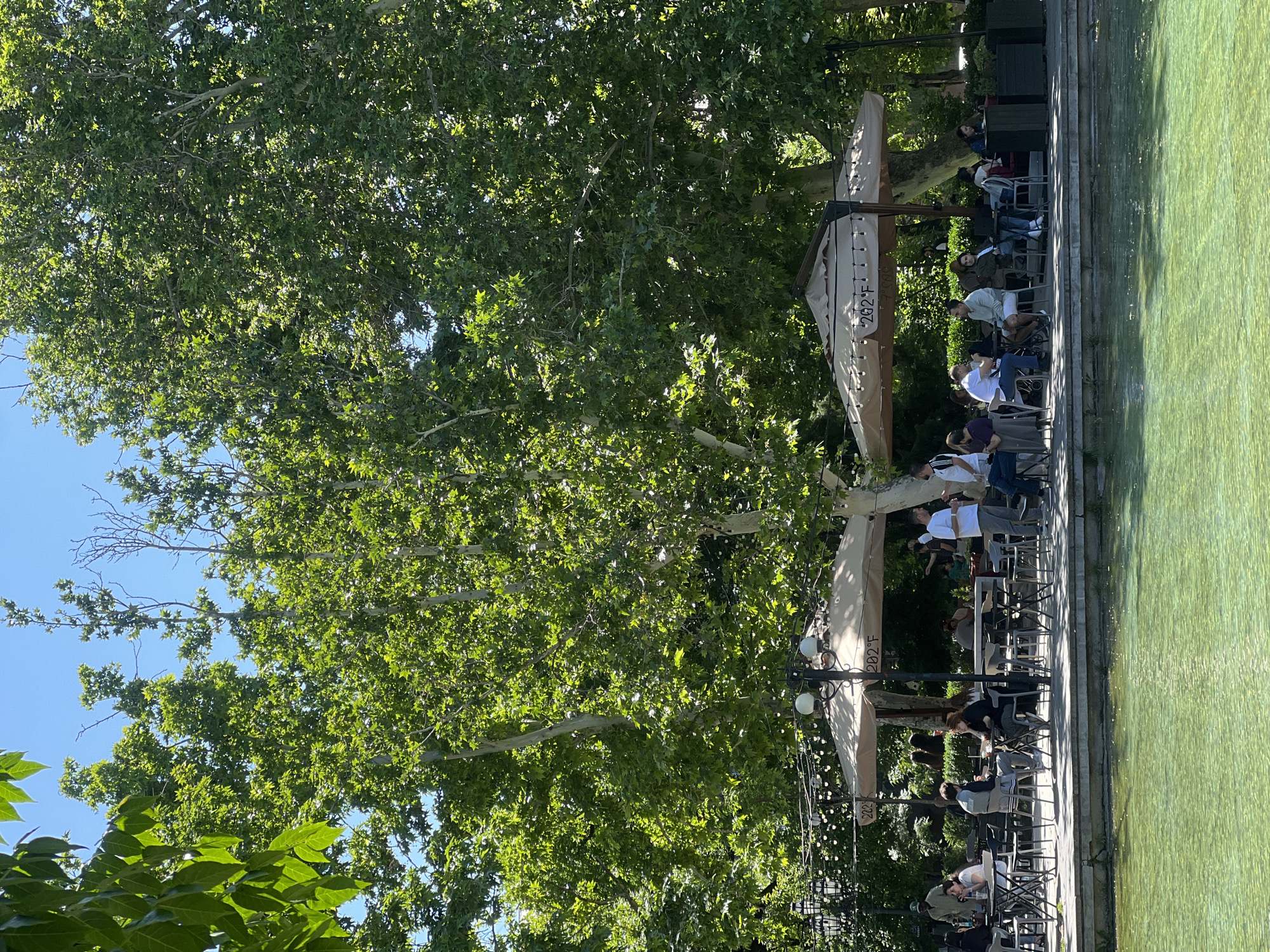 The image depicts a scene at Swan Lake in Yerevan, Armenia. A group of people are seated on chairs along the water's edge, likely at an outdoor cafe. Overhead are beige awnings, and decorative string lights are visible. A large tree with green foliage provides shade. The water of Swan Lake is a murky green color. The sky is clear and blue.