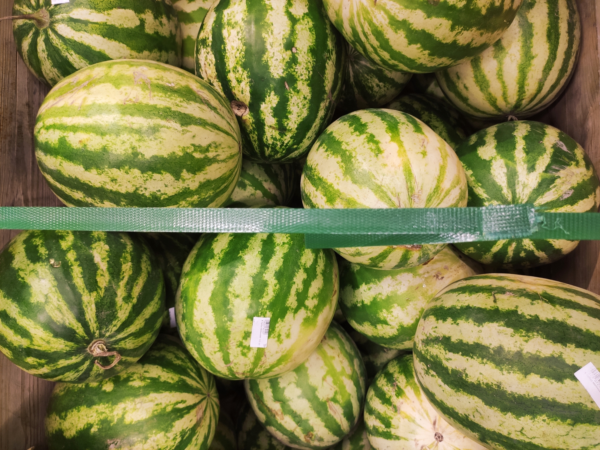 The image shows a close-up, overhead view of a pile of watermelons displayed for sale in a market. The watermelons are predominantly round to oval in shape, with characteristic dark green and light green striped rinds. Some of the watermelons have white stickers or labels on them. A textured green strap or netting runs vertically down the center of the image, dividing the watermelons. The background consists of wooden planks. The scene is indoors, likely in a supermarket or a covered market. There are no people or animals visible in the image. There is no information in the image to determine the specific location in Tashkent, Uzbekistan.